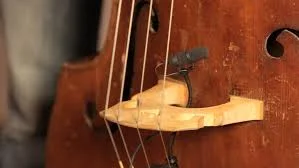 UPRIGHT BASS STRINGS.jpeg