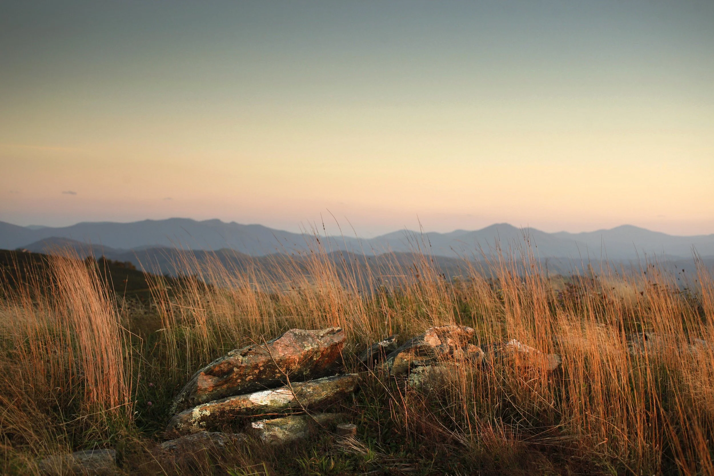 Pond Mountain — Blue Ridge Conservancy