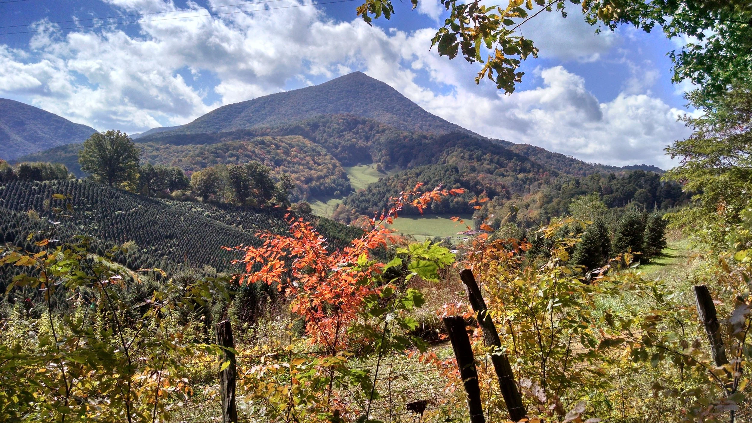 Conservation Ridges Protected Areas — Blue Ridge Conservancy
