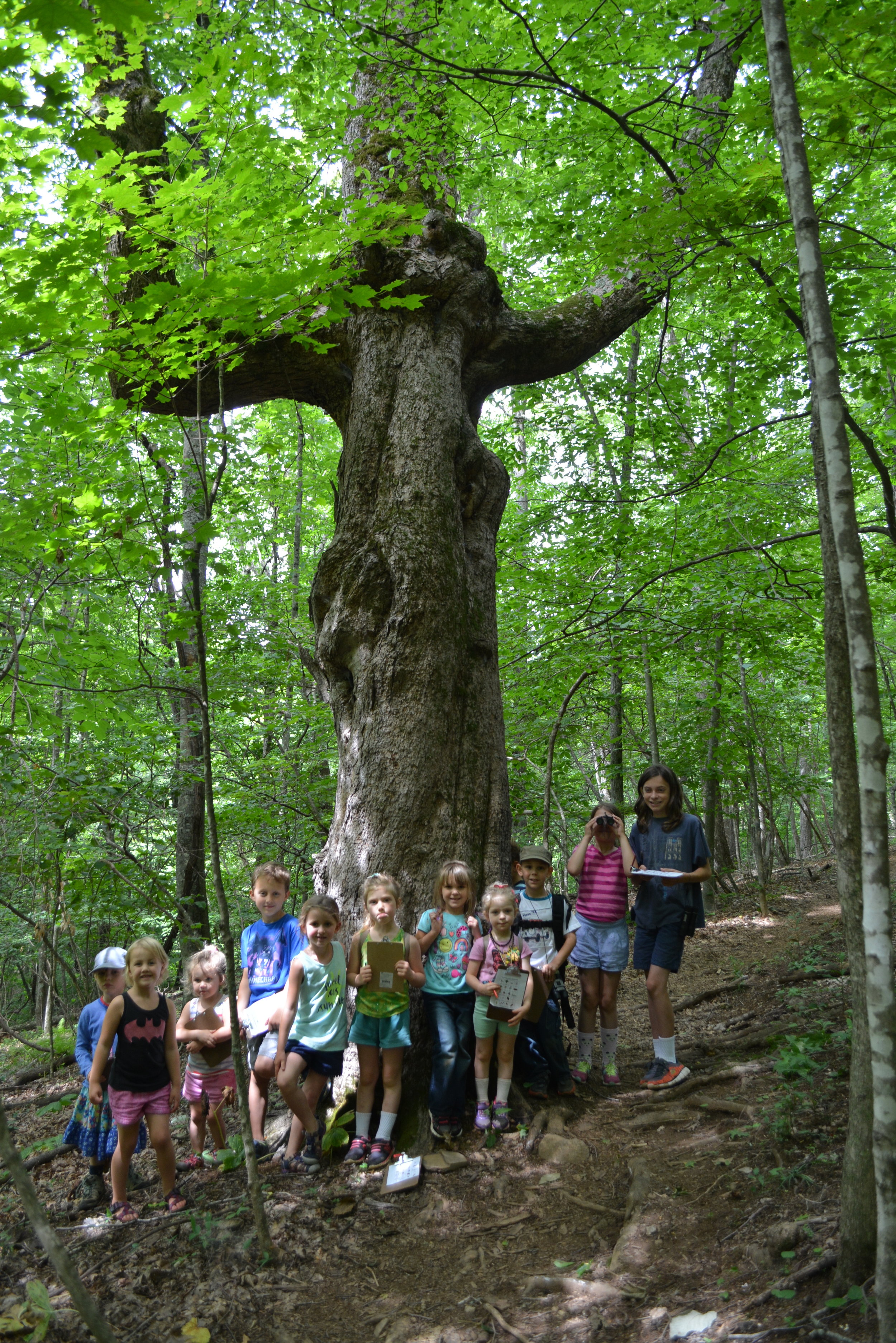 June E-News from BRC