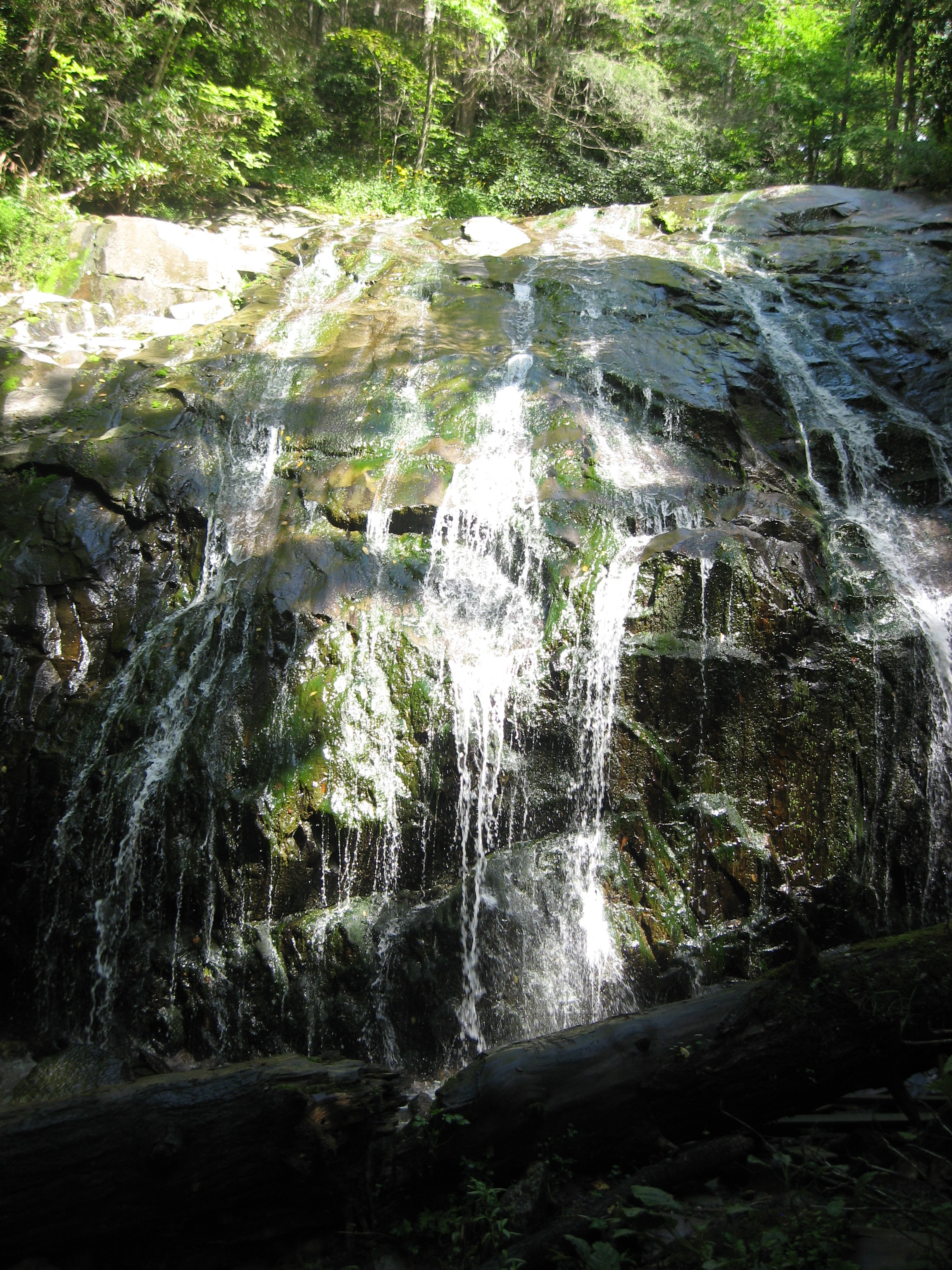 Glen Burney trail closed due to flood damage