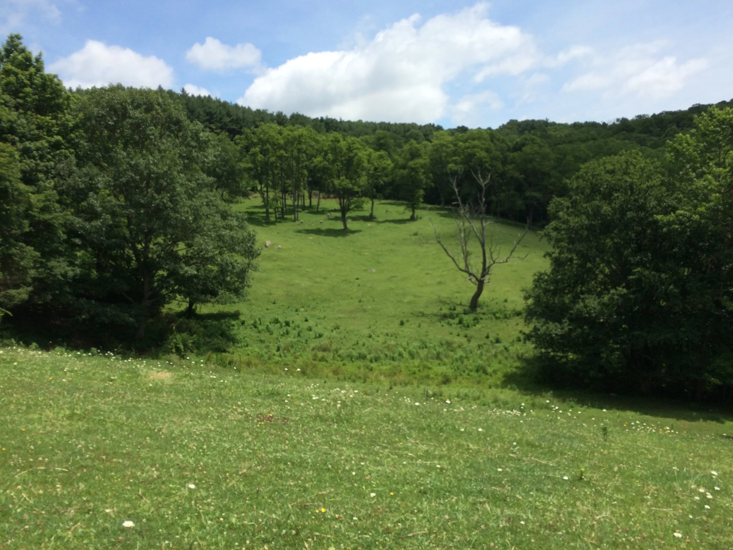 Gifts of Land for the Benefit of All