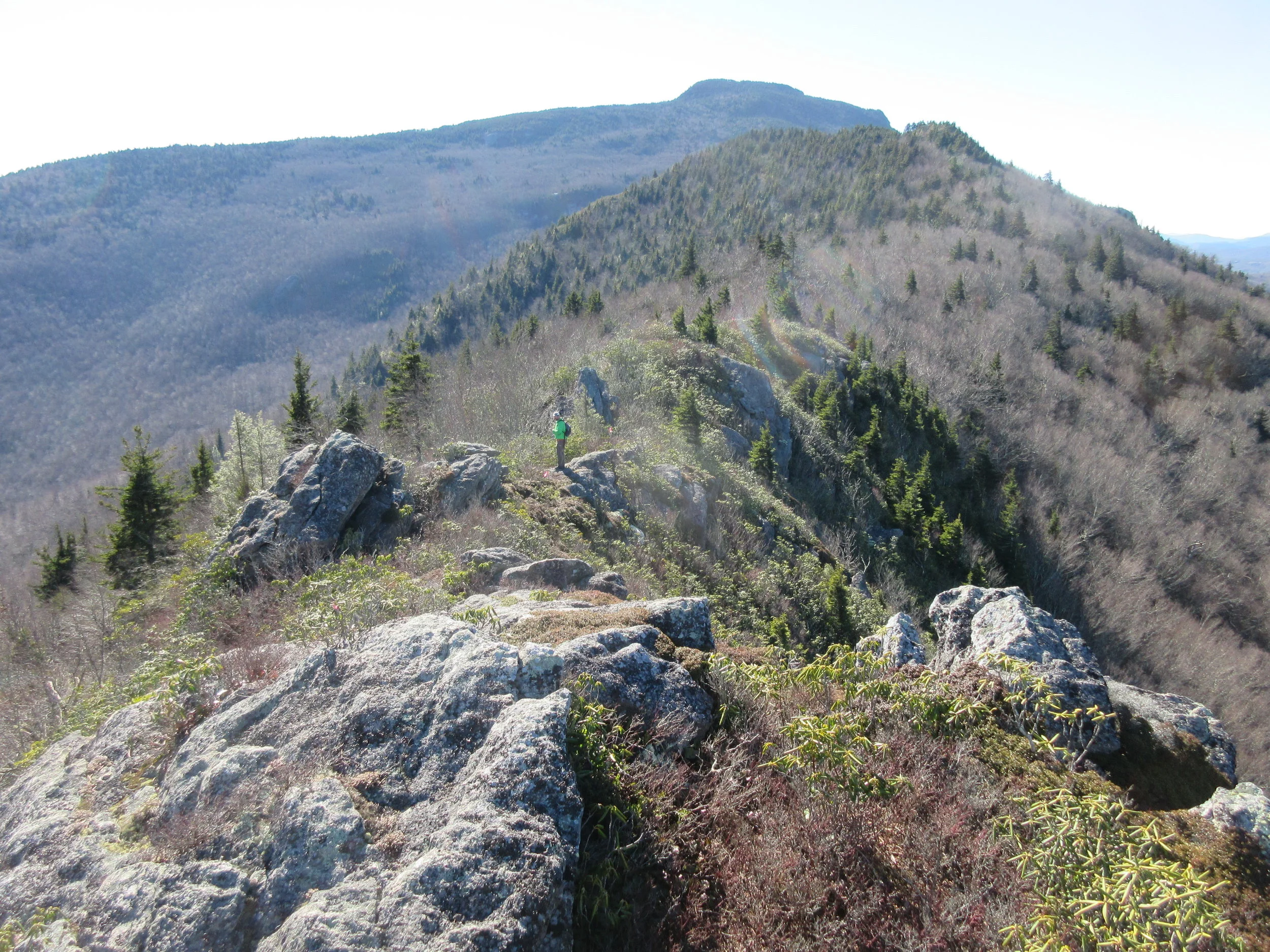 Blue Ridge Conservancy protects key tract of Grandfather Mountain ridgeline; transfers ownership to NC State Parks