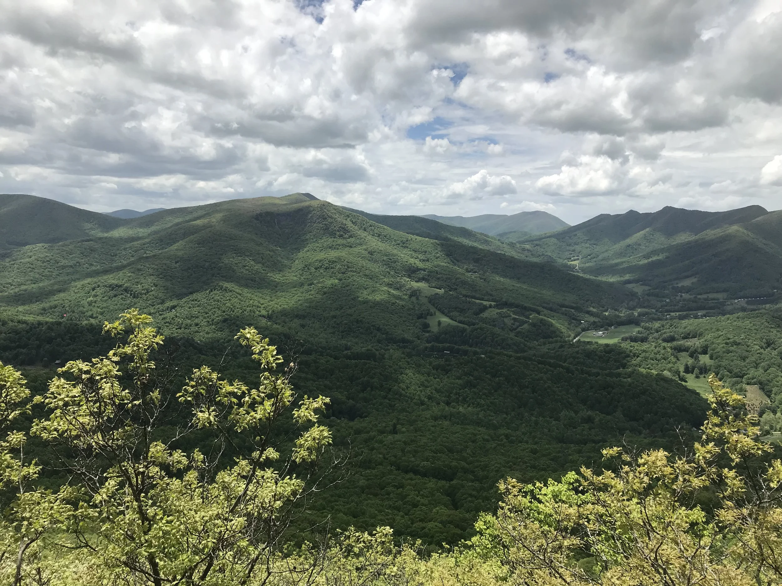 Blue Ridge Conservancy continues pursuit of land protection on Paddy Mountain with 75 acre purchase