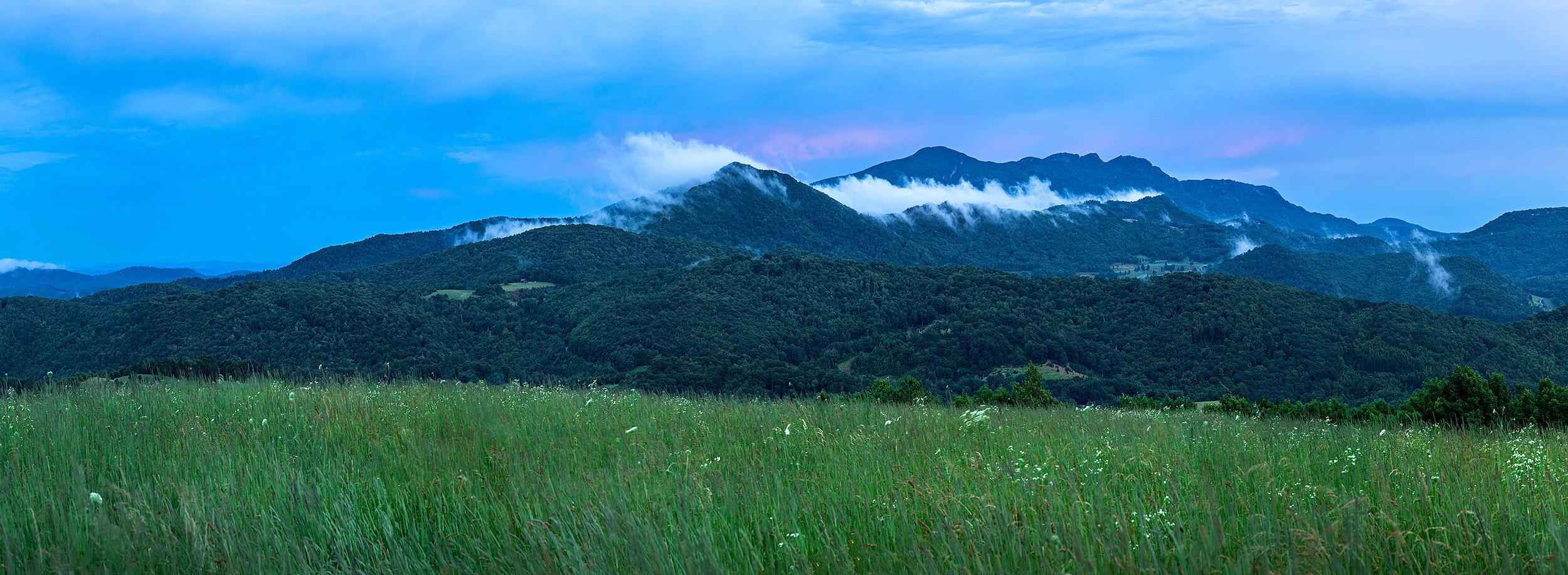 Greater Grandfather Mountain Conservation Area — Blue Ridge Conservancy