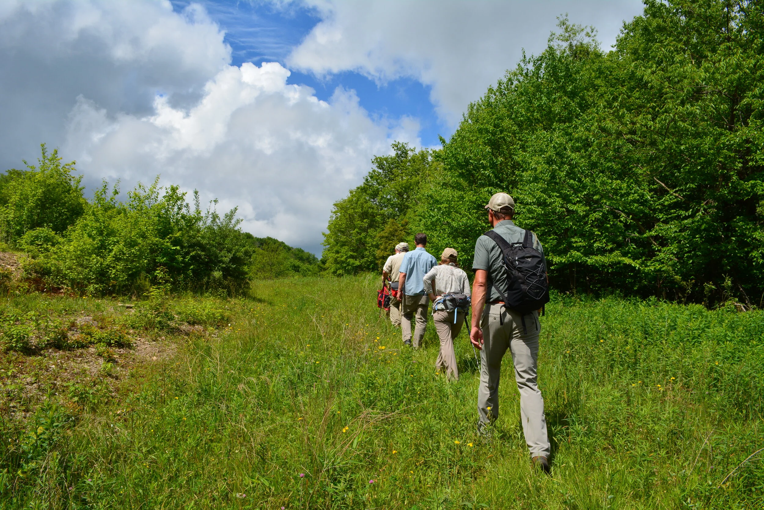 Call for Support: NC Parks and Trails for Health (PATH) Initiative