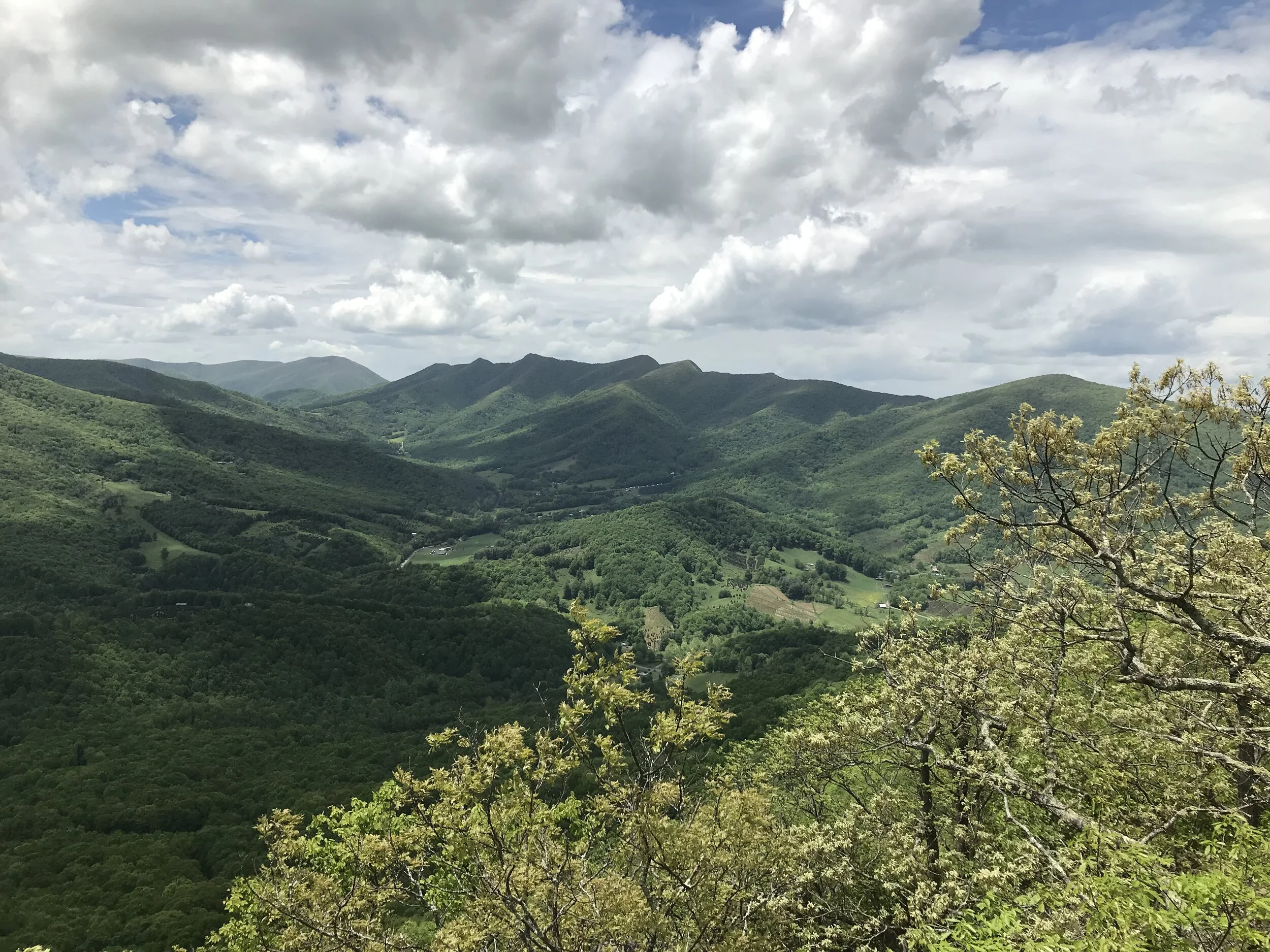 Blue Ridge Conservancy receives $1 Million from the North Carolina Land and Water Fund