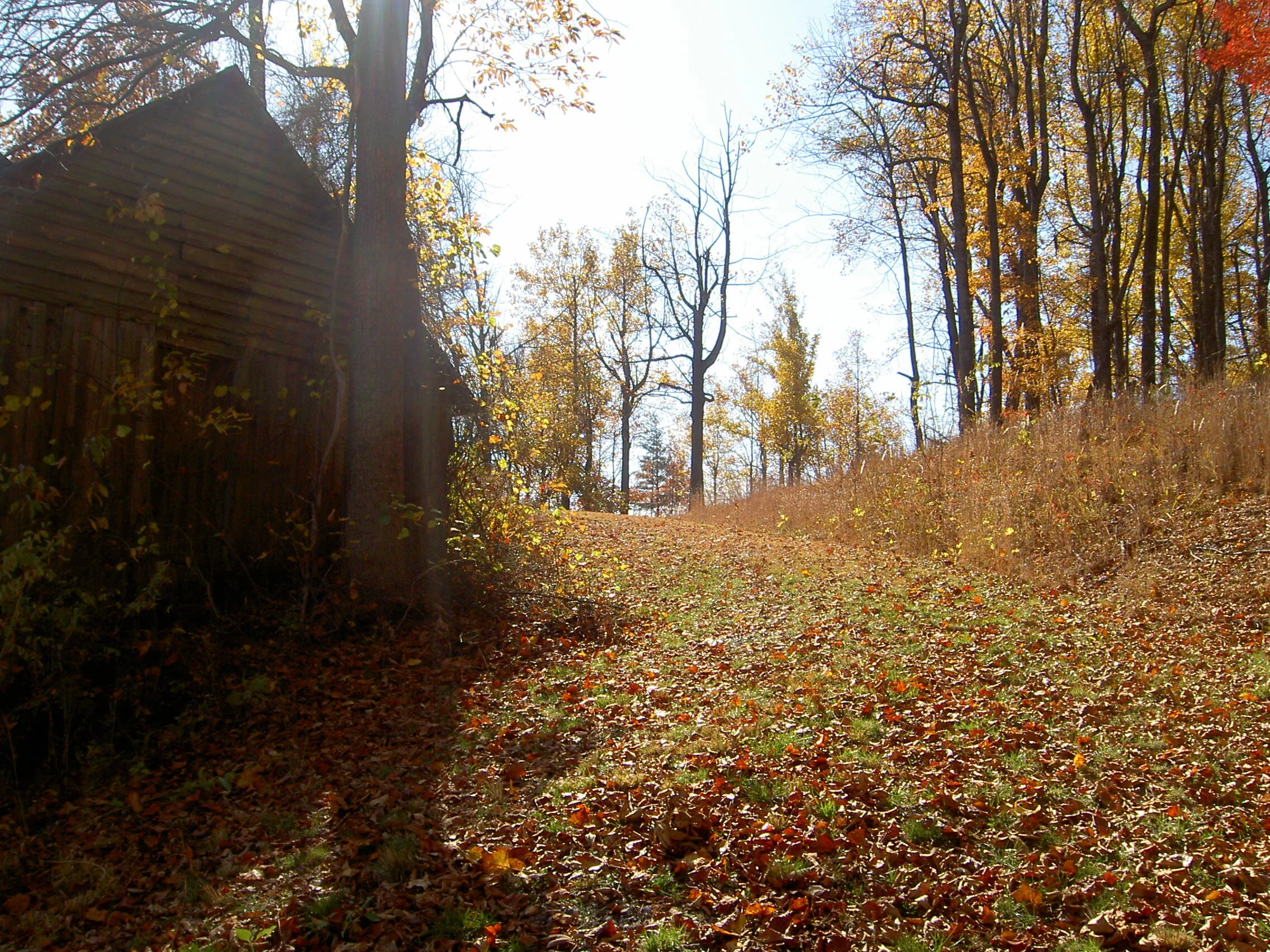 22,000-acre conservation milestone achieved!