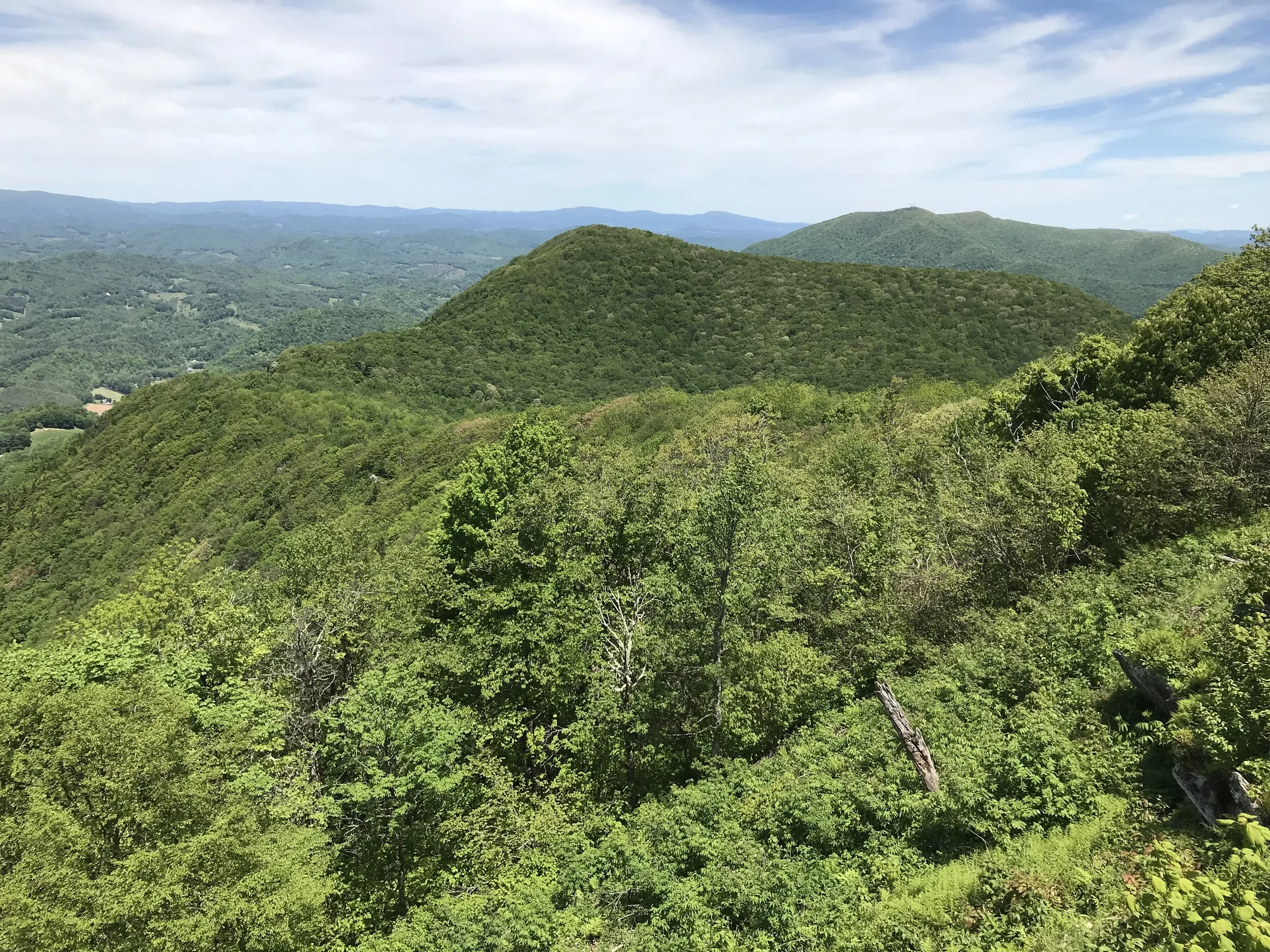 Transfer from BRC to NC Wildlife Resources Commission Expands Three Top Game Lands to 3,100 Acres