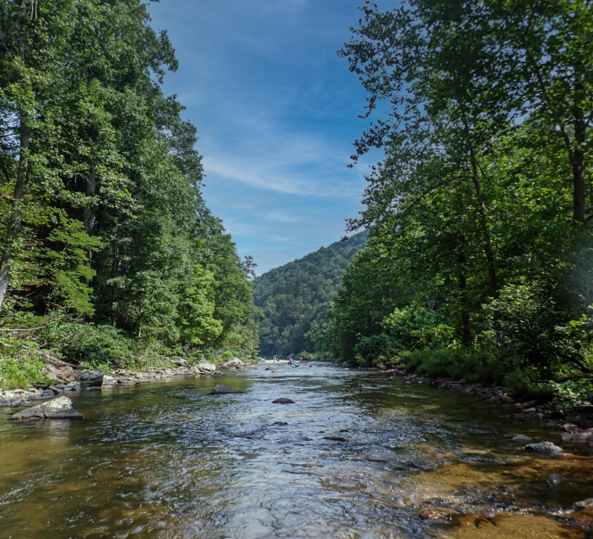 State Budget Includes Historic Funding for Conservation; Blue Ridge Conservancy Projects Highlighted