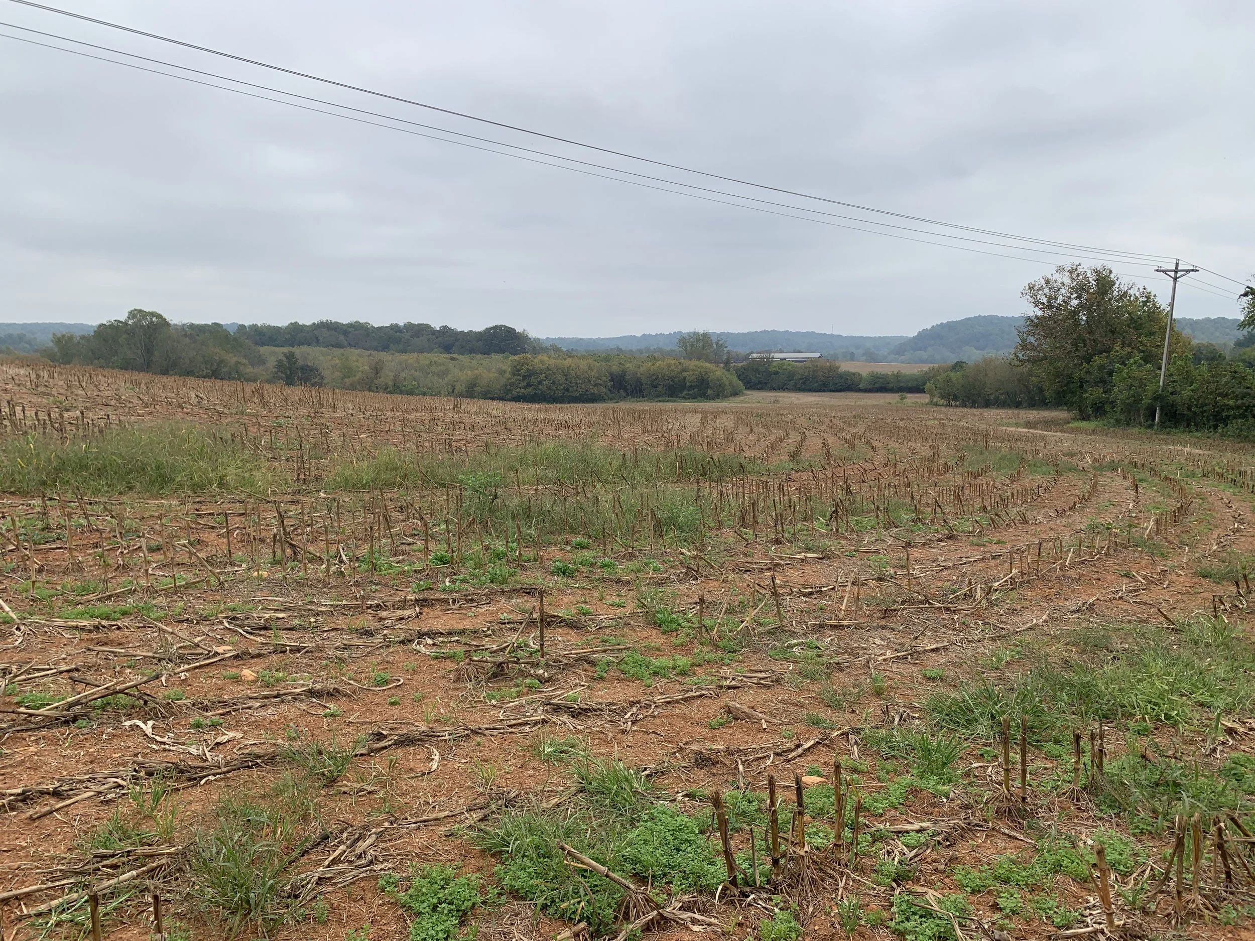 Blue Ridge Conservancy Accepts 393-acre Gift from the Estate of Dr. Judith Beale