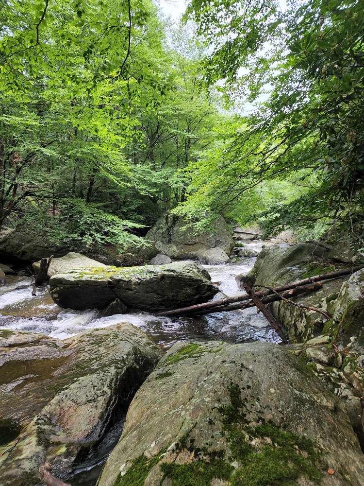 boonegorge.jpg