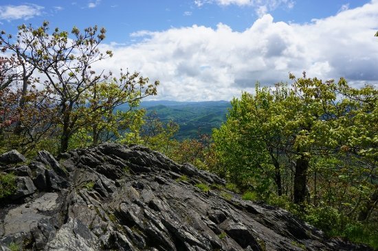 luther-rock-at-mount.jpg