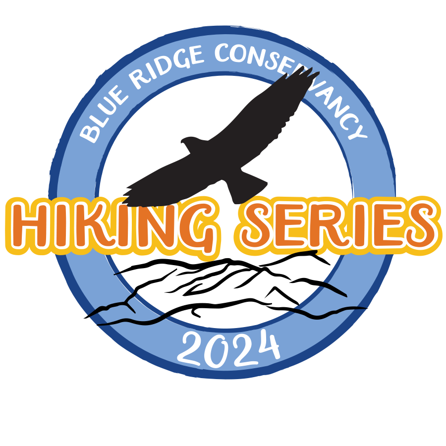 Guided Hike at Three Top Mountain