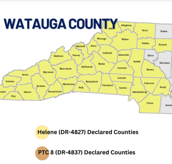 Land Conservancies Partnering to Protect North Carolina Lands Impacted by Helene