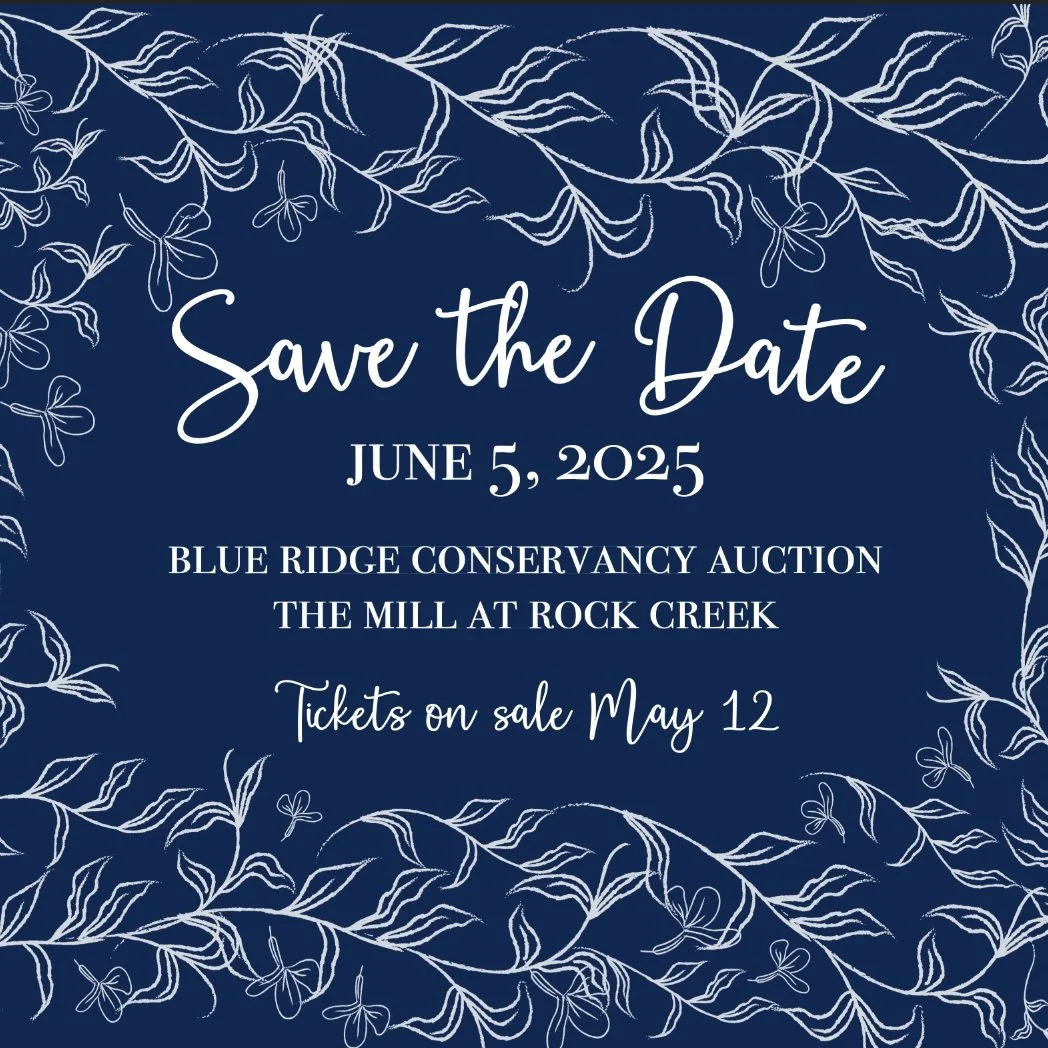 BRC Auction at the Mill at Rock Creek