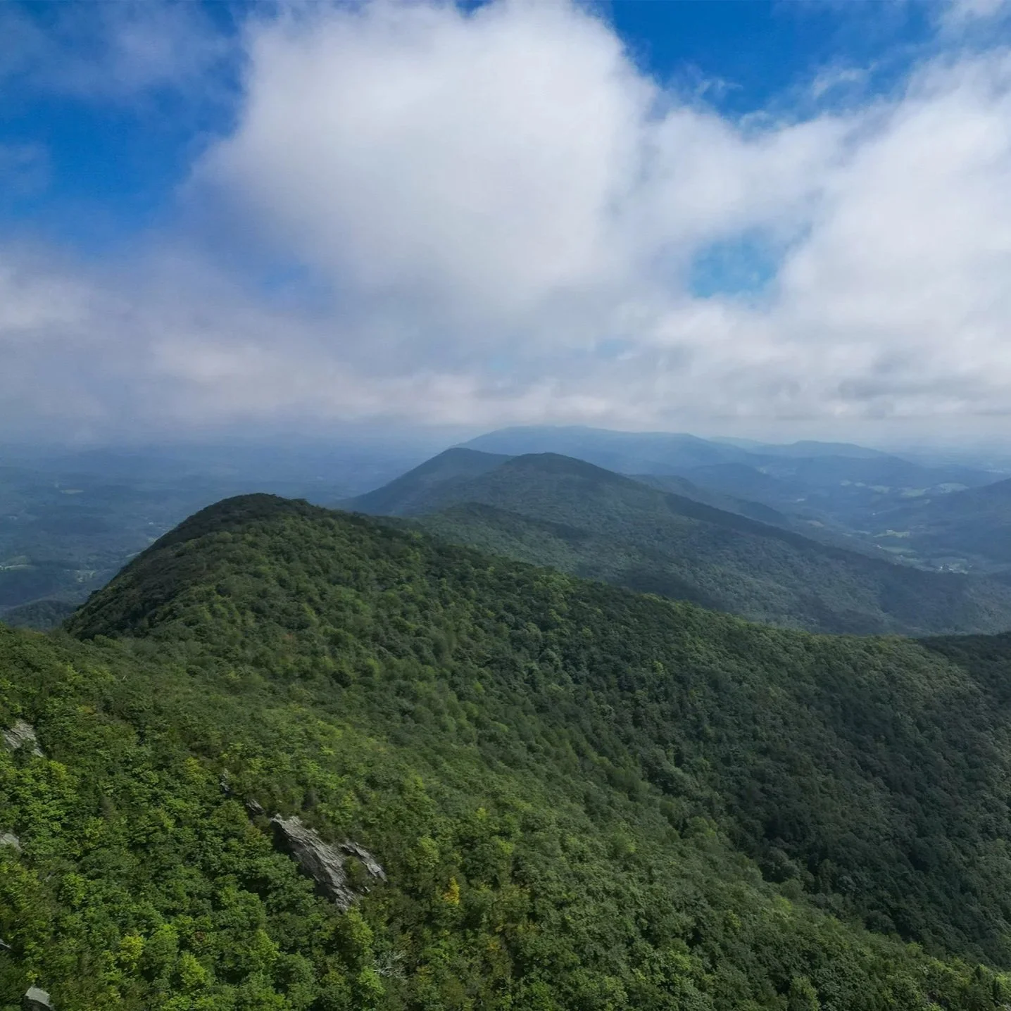 BRC Adds Additional Land to Three Top Mountain Game Land