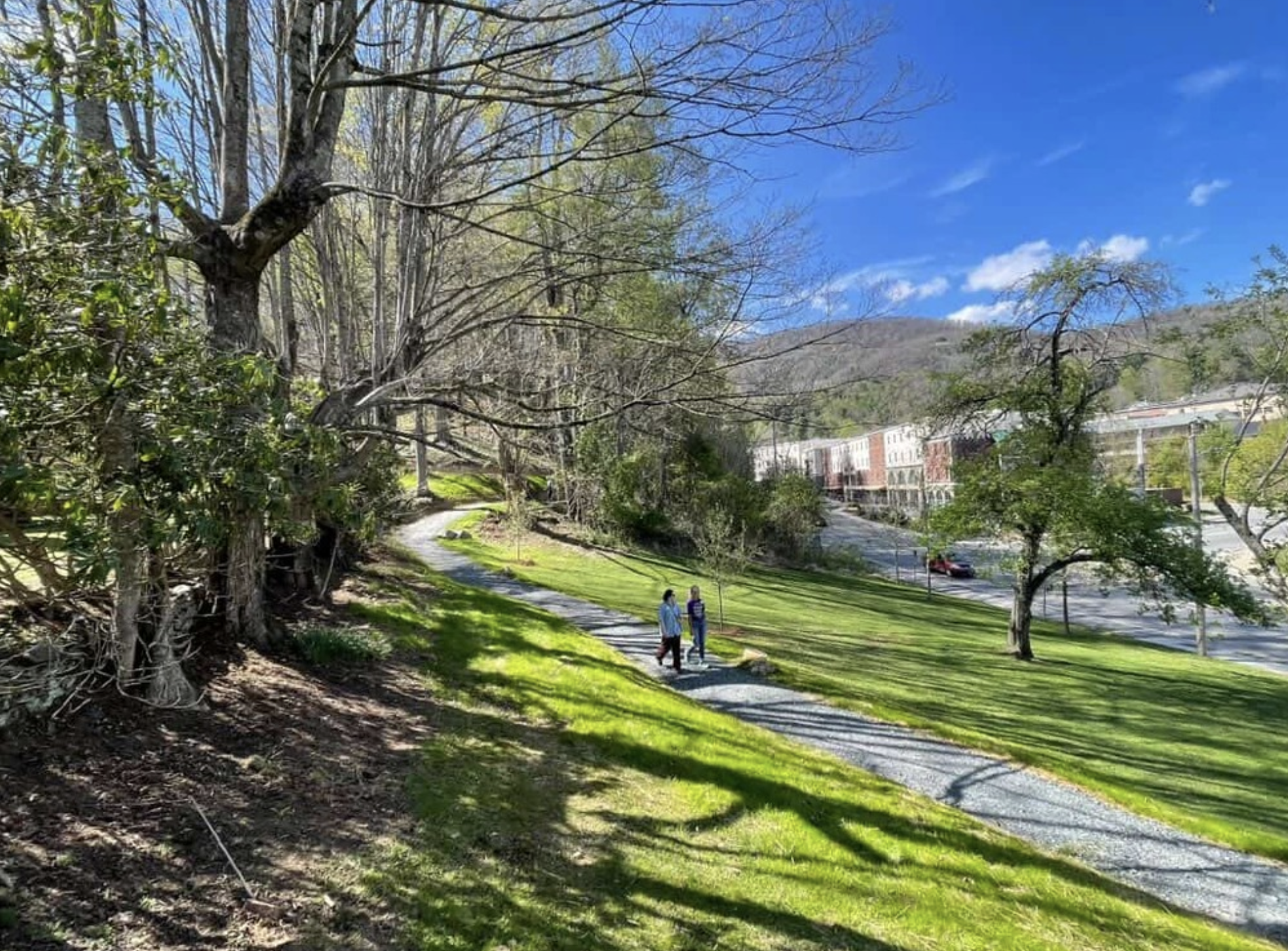 Screenshot 2026-04-20 at 11.56.42 AM.png