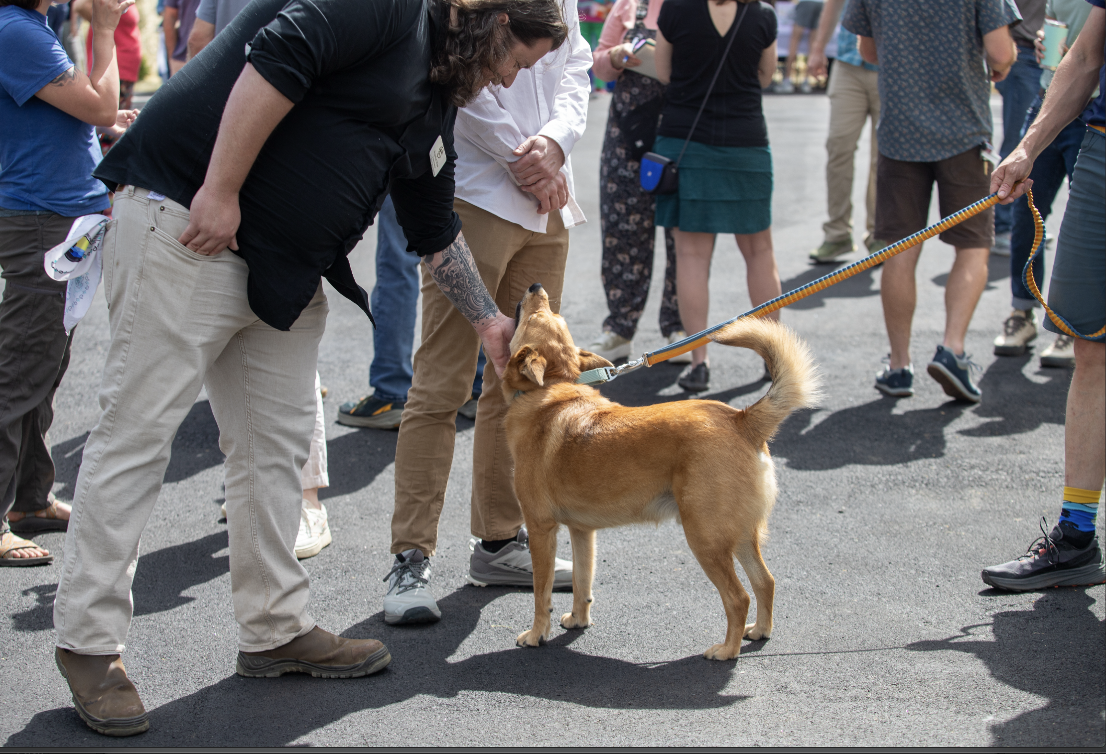 Screenshot 2026-04-20 at 8.26.44 AM.png