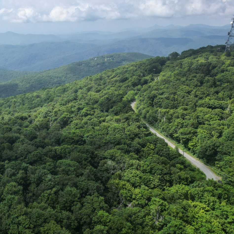 Blue Ridge Conservancy and The Conservation Fund Partner to Complete the Protection of Grandmother Mountain 