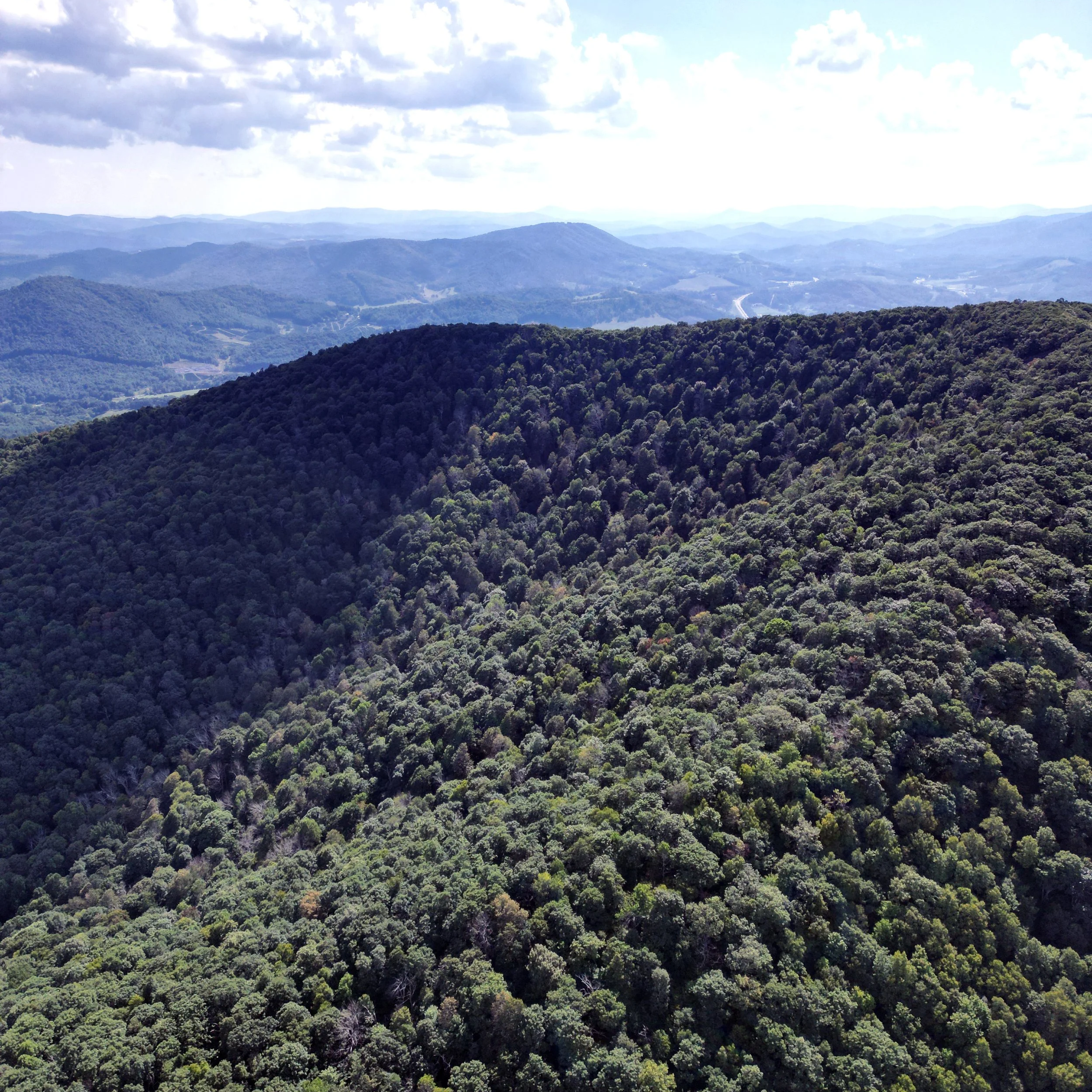 Blue Ridge Conservancy Adds “Critical” Land to Mount Jefferson State Natural Area