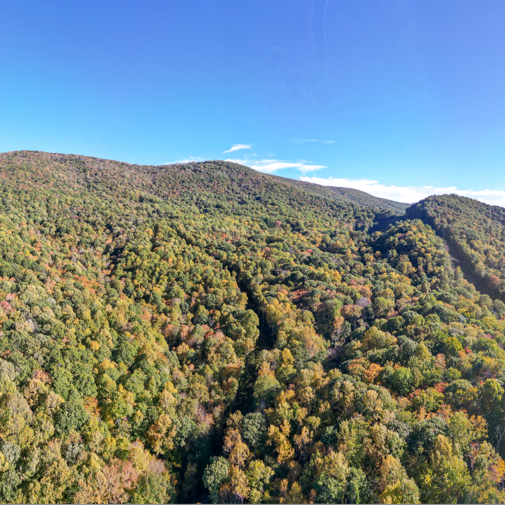 “Our highest calling is to serve as stewards of the land”: Linville Family and Blue Ridge Conservancy Protect Valuable Acreage Adjacent to Bluff Mountain Preserve