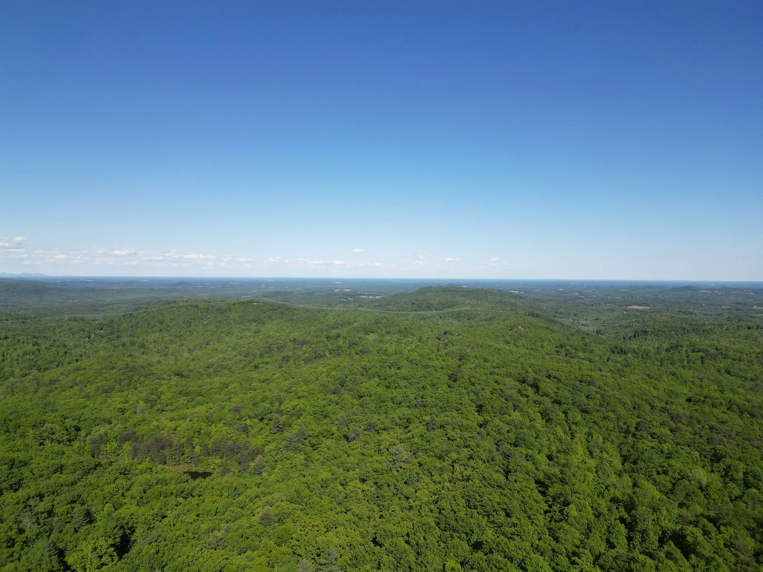 1,125 acres protected in the Brushy Mountains — Blue Ridge Conservancy