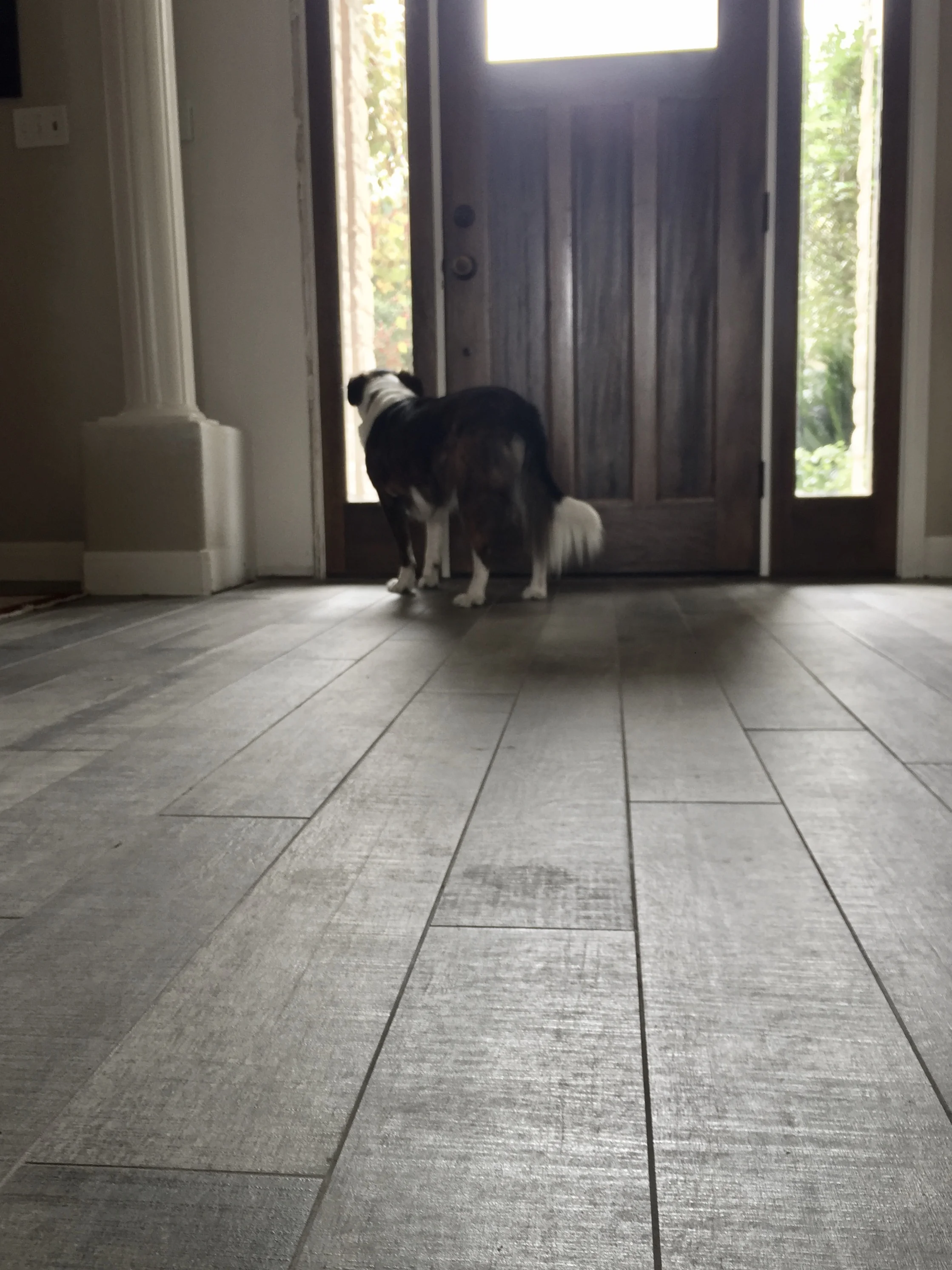 This "wood" tile is a beautiful example of a durable and low maintenance wood look