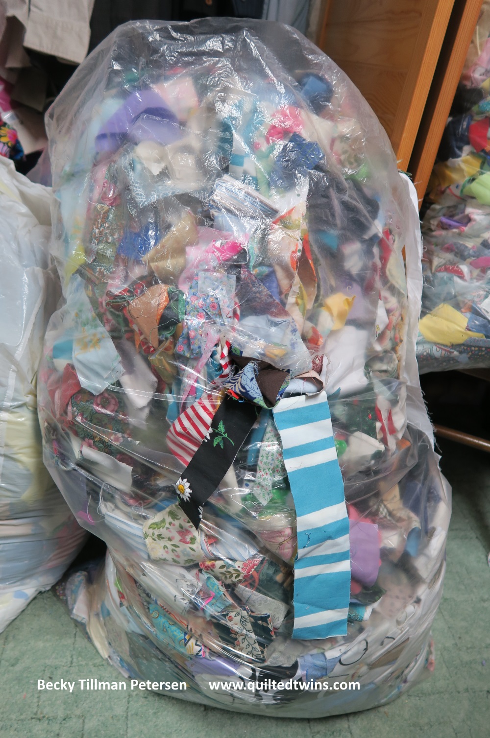 This bag is just an example. I had a full bag like this one which holds 2.5" strips - but the other was 2" strips.