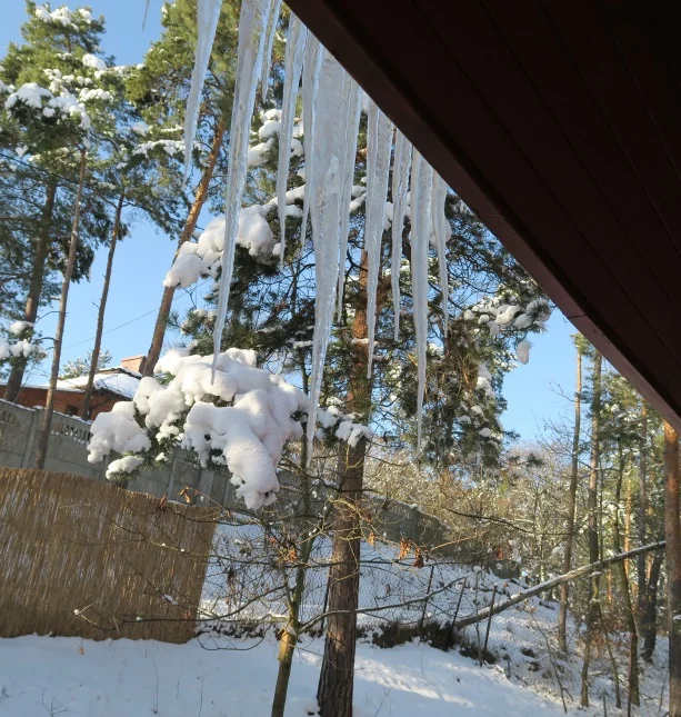 Cultural:  Winter in Poland