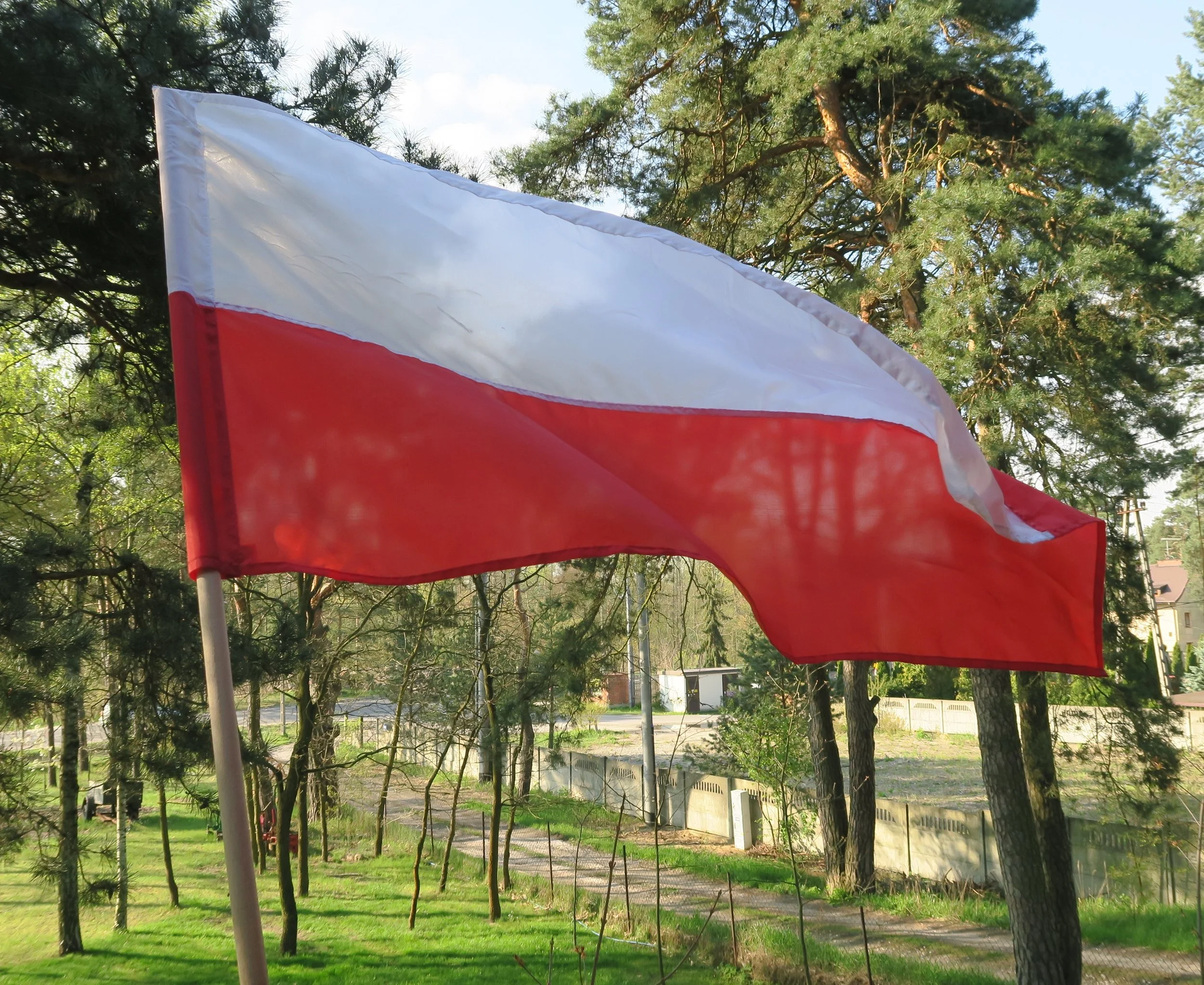 flag Polish.jpg
