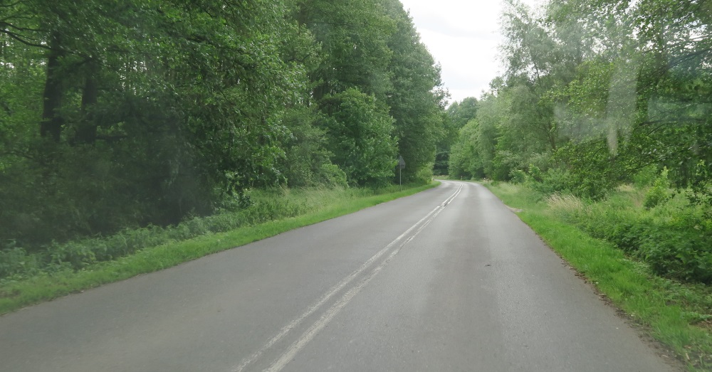 It's green - very pretty now.