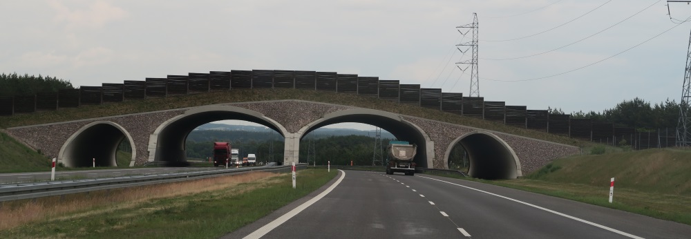 Another overpass. I found them picturesque.