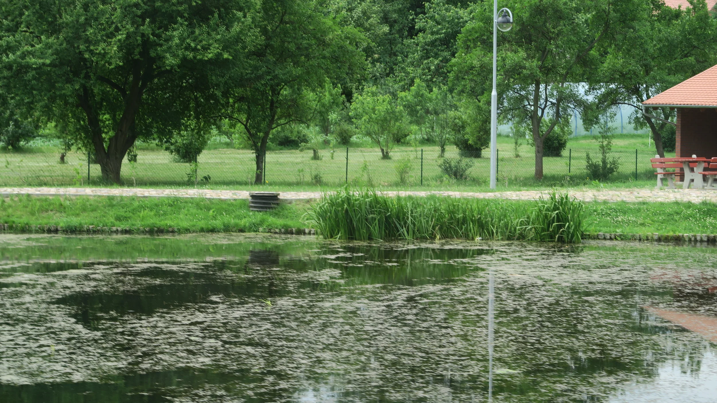 Cultural: Road trip, part 2