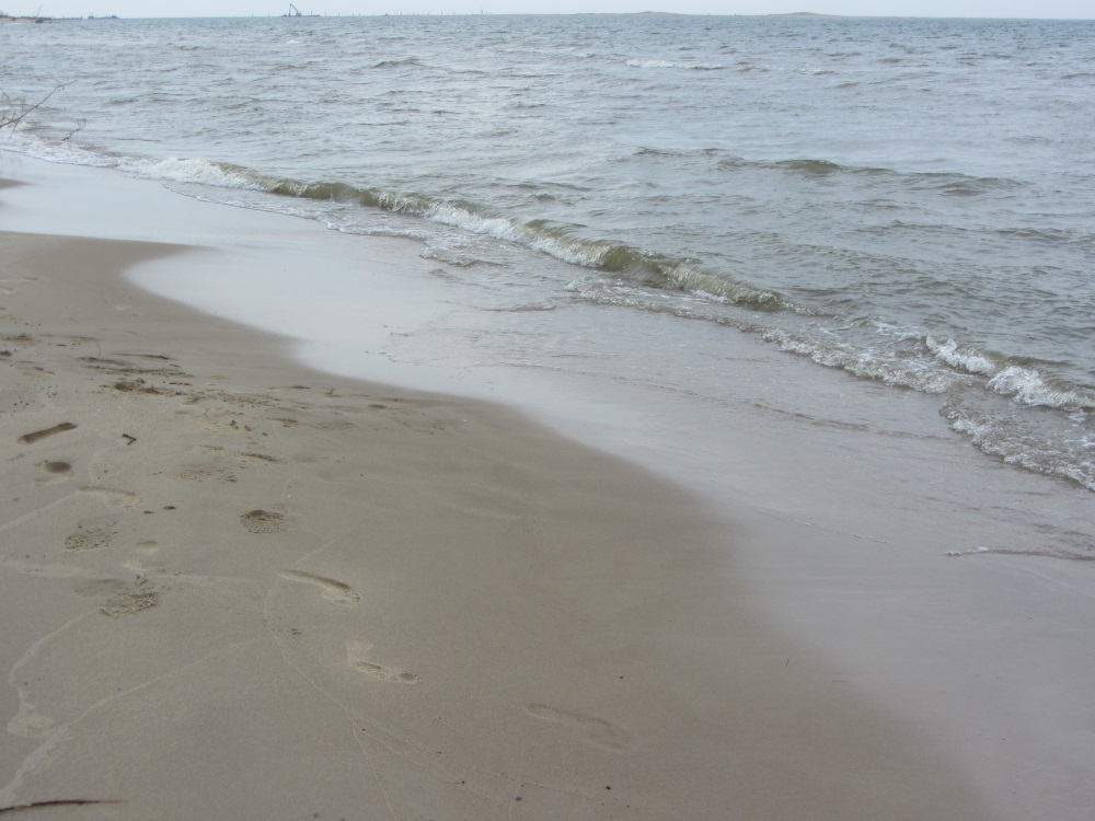the Baltic Sea - June, 2015