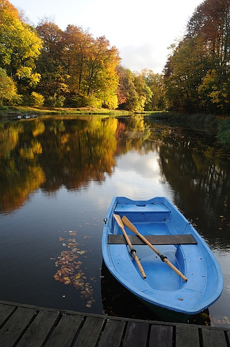photo credit - google images