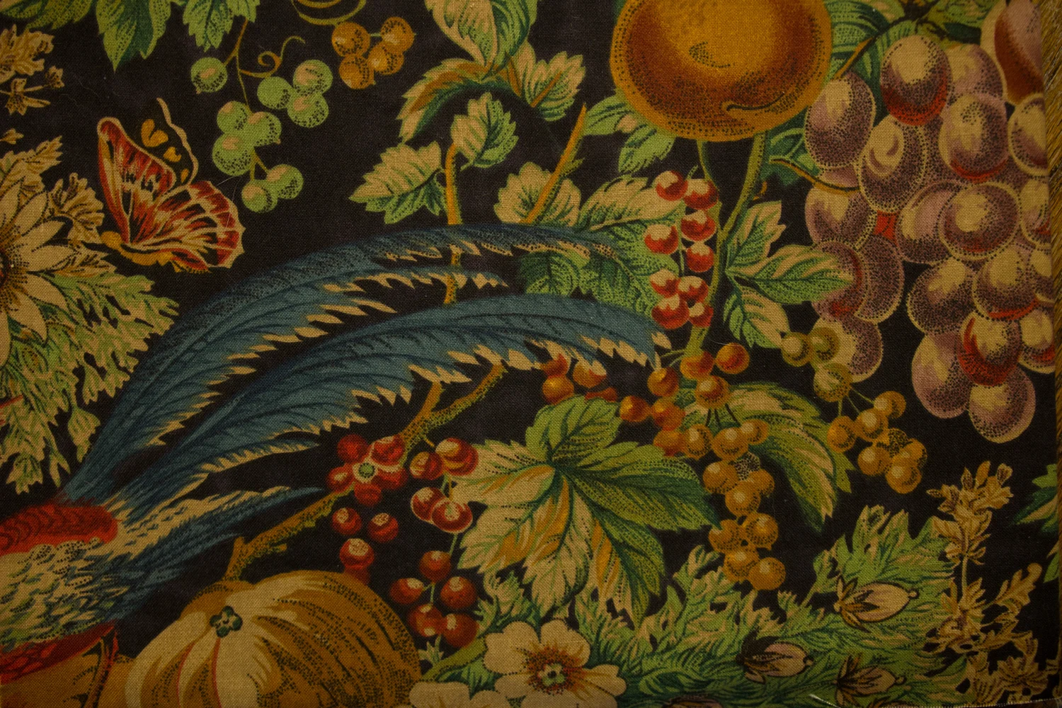 2 Yd (72") Decorator Weight Fruits on Black