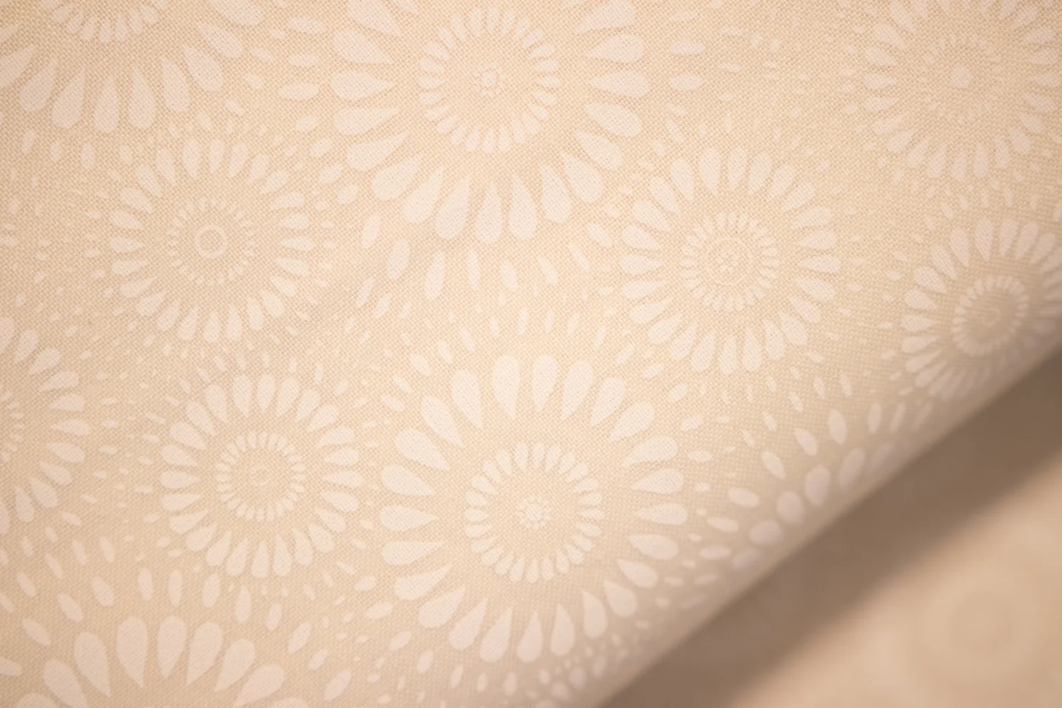 Off-White with White Exploding Circles