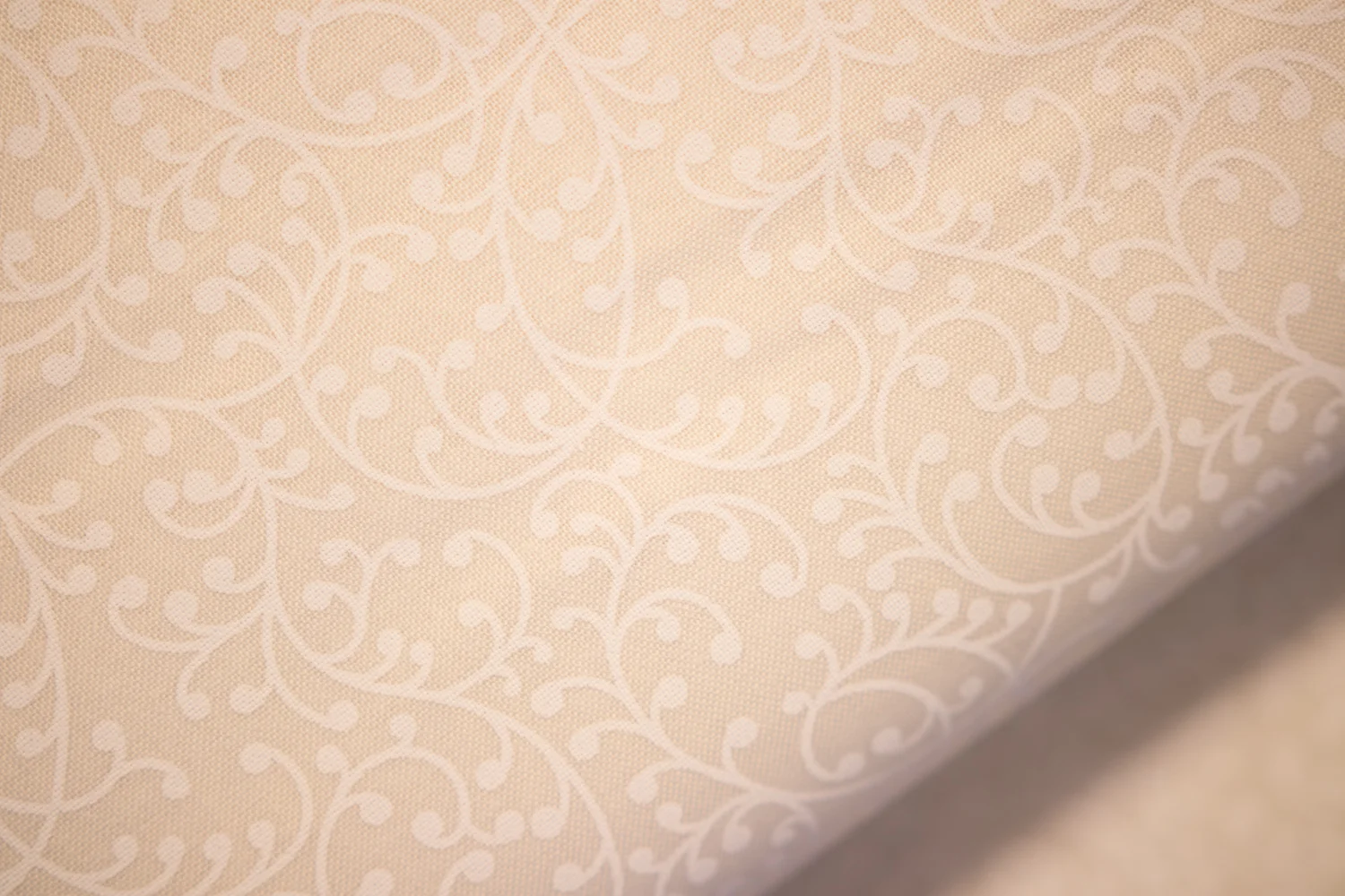 White Fiddleheads on Natural