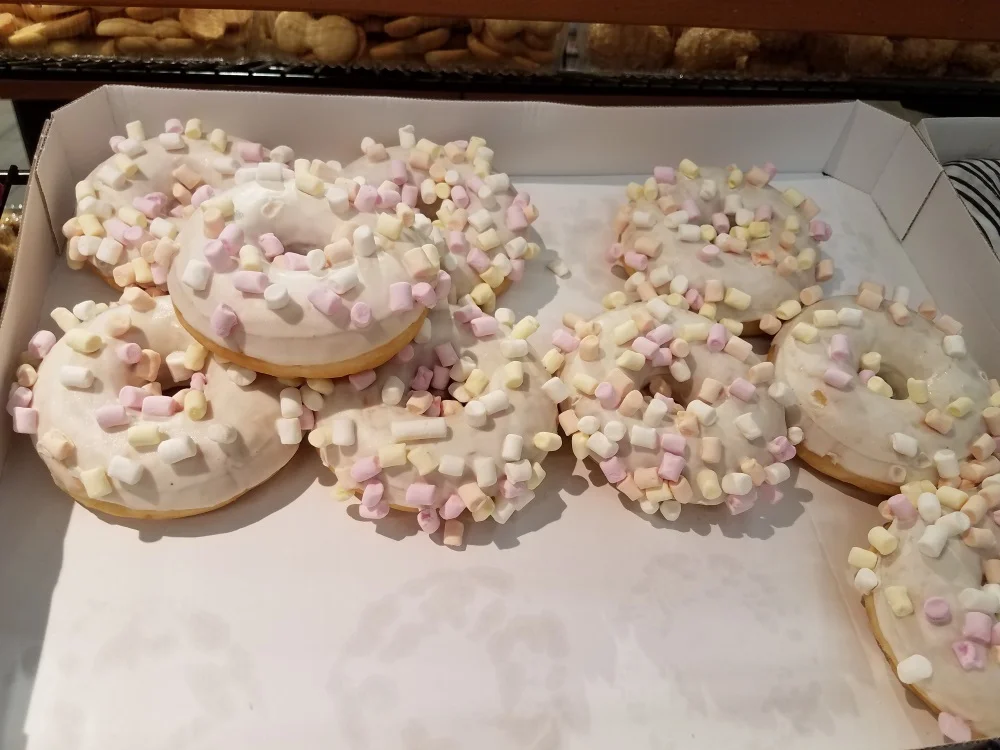 Summary of my sister's visit to Poland