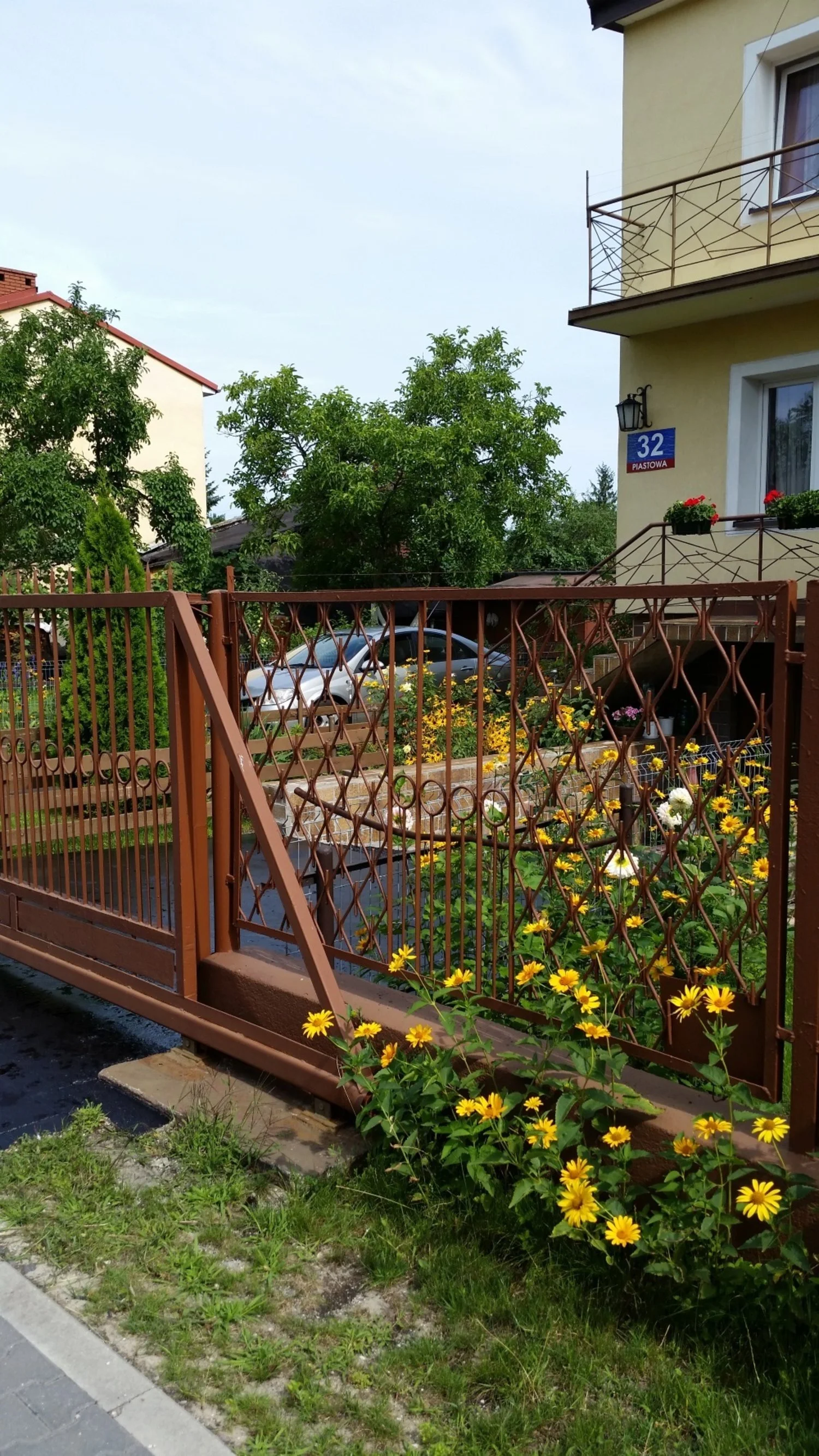 fences 3.jpg