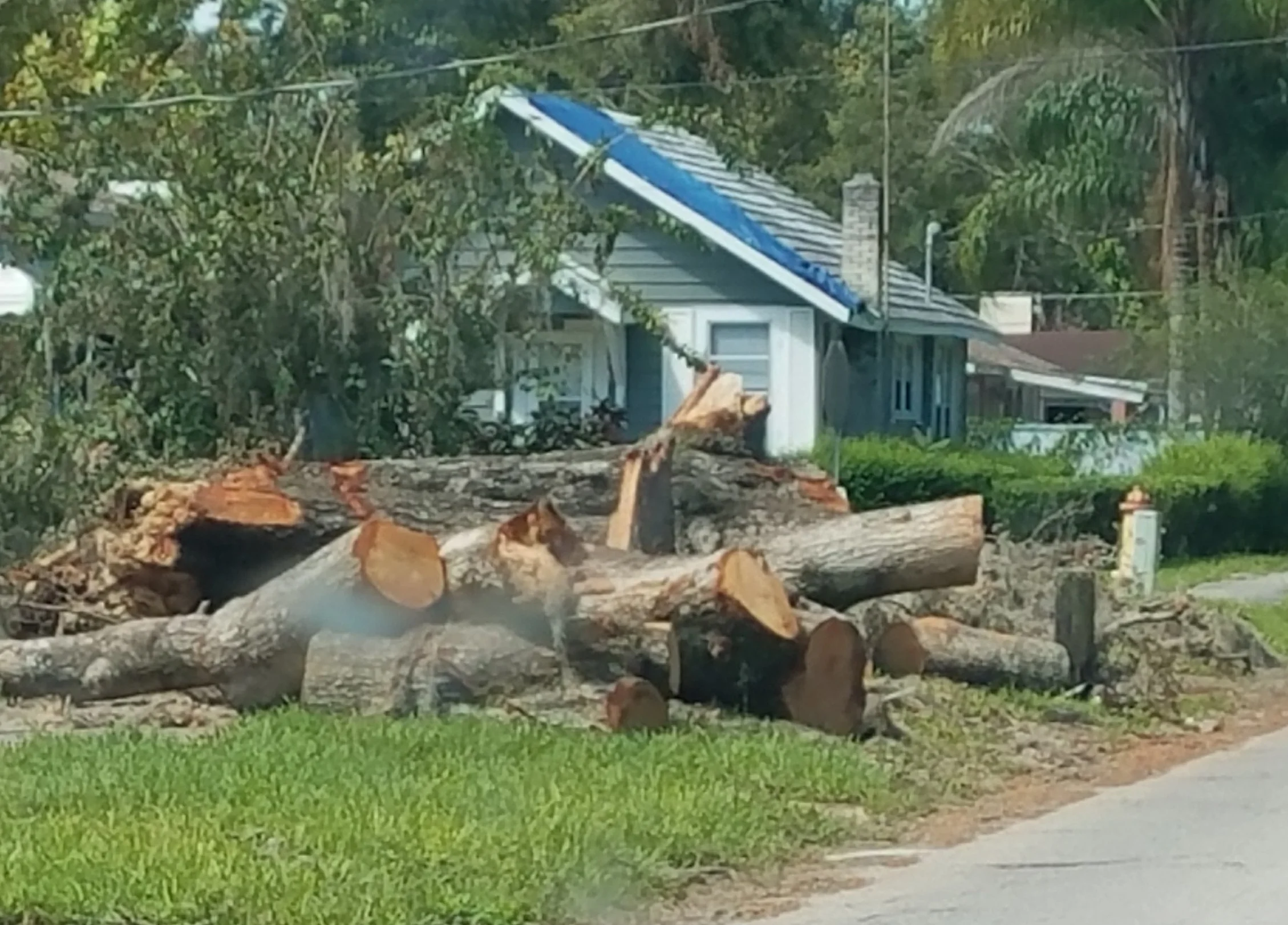 Picking Up the Pieces