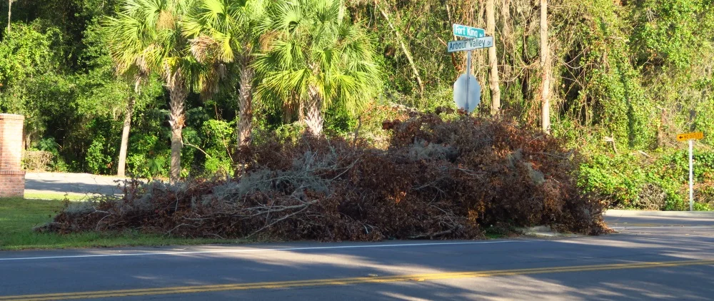 This is a common site as people pick up in their yards.