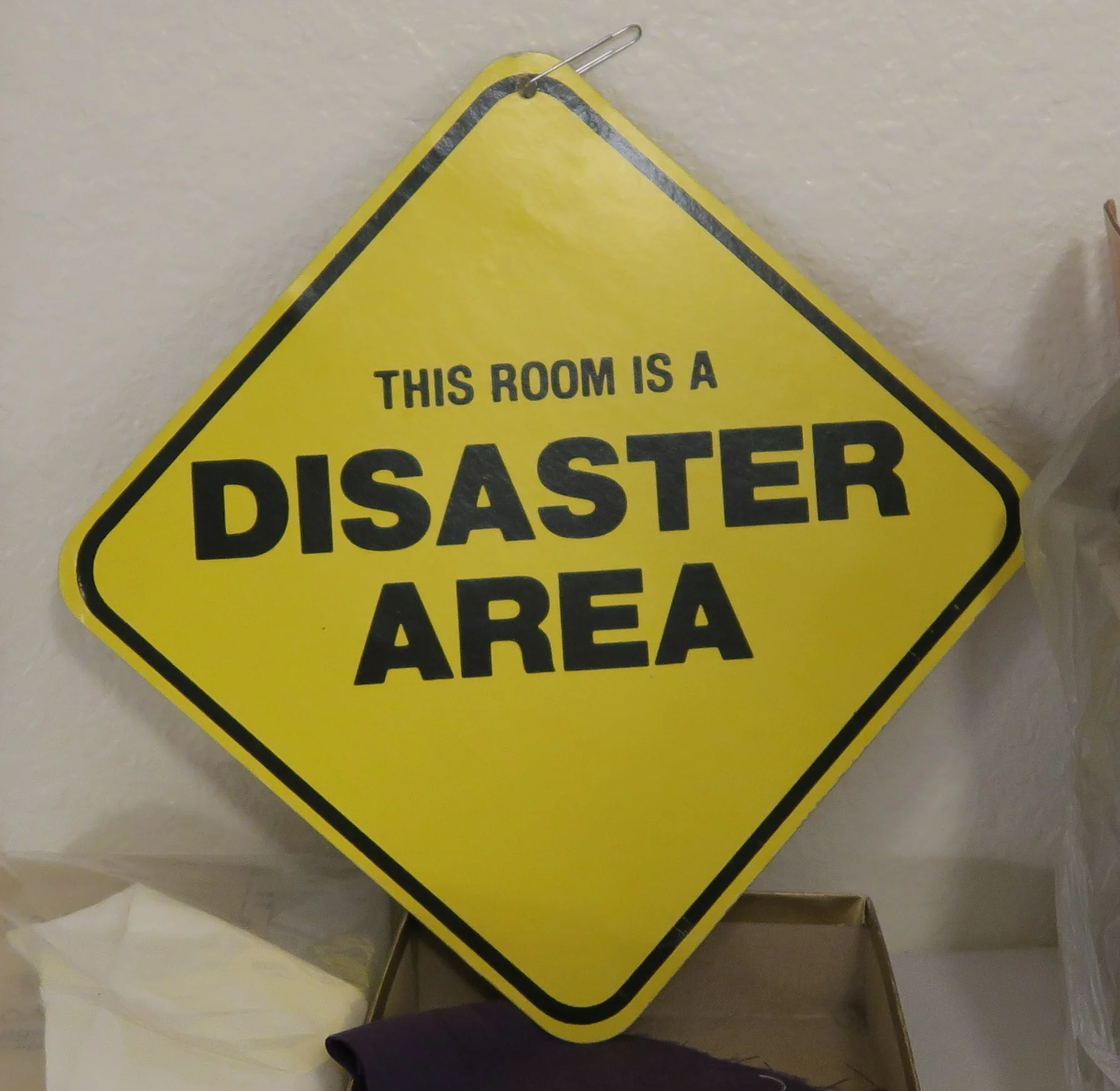 Fran's sense of humor is evident. Her room is hardly a disaster area when I was there. At least not MY definition of disaster area!