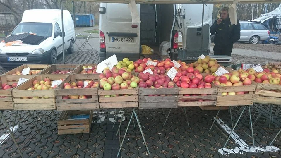 I asked this man if I could take his picture. I thought his choice of apples to be amazing. I think I counted 12 different varieties of apples!