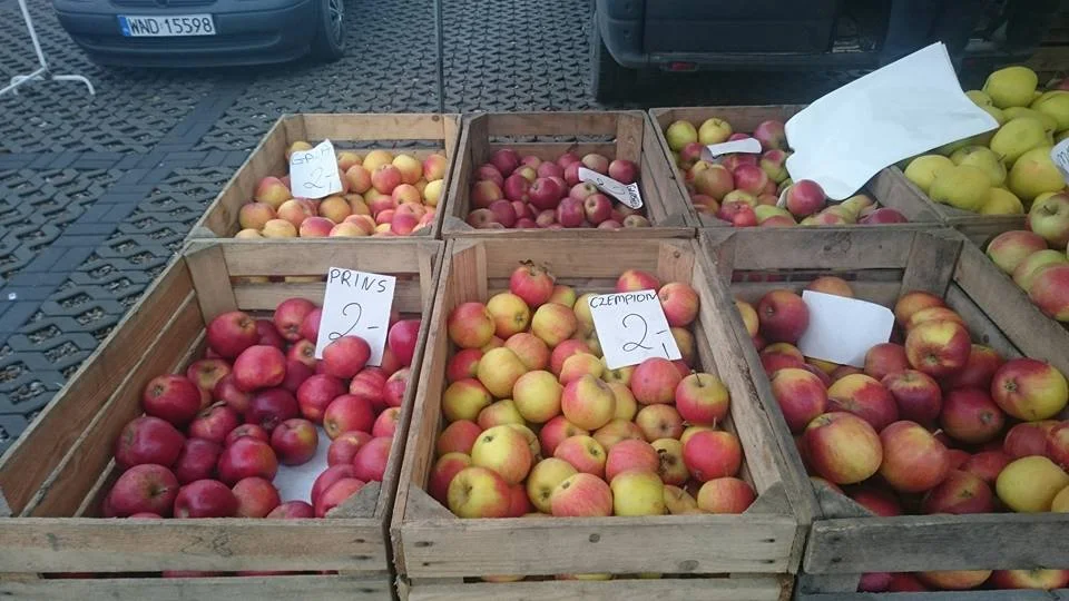 A close up of the types of apples. They ranged in price from 2 -3 zl (55cents - 82 cents) a kilo (2.2 lbs).
