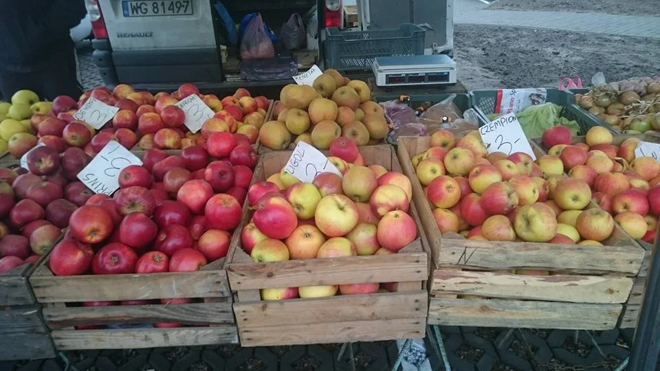 I tried to take pics quickly. I had asked the guy if I could take them and he said "yes", so I tried not to linger. We did buy apples from him, though.
