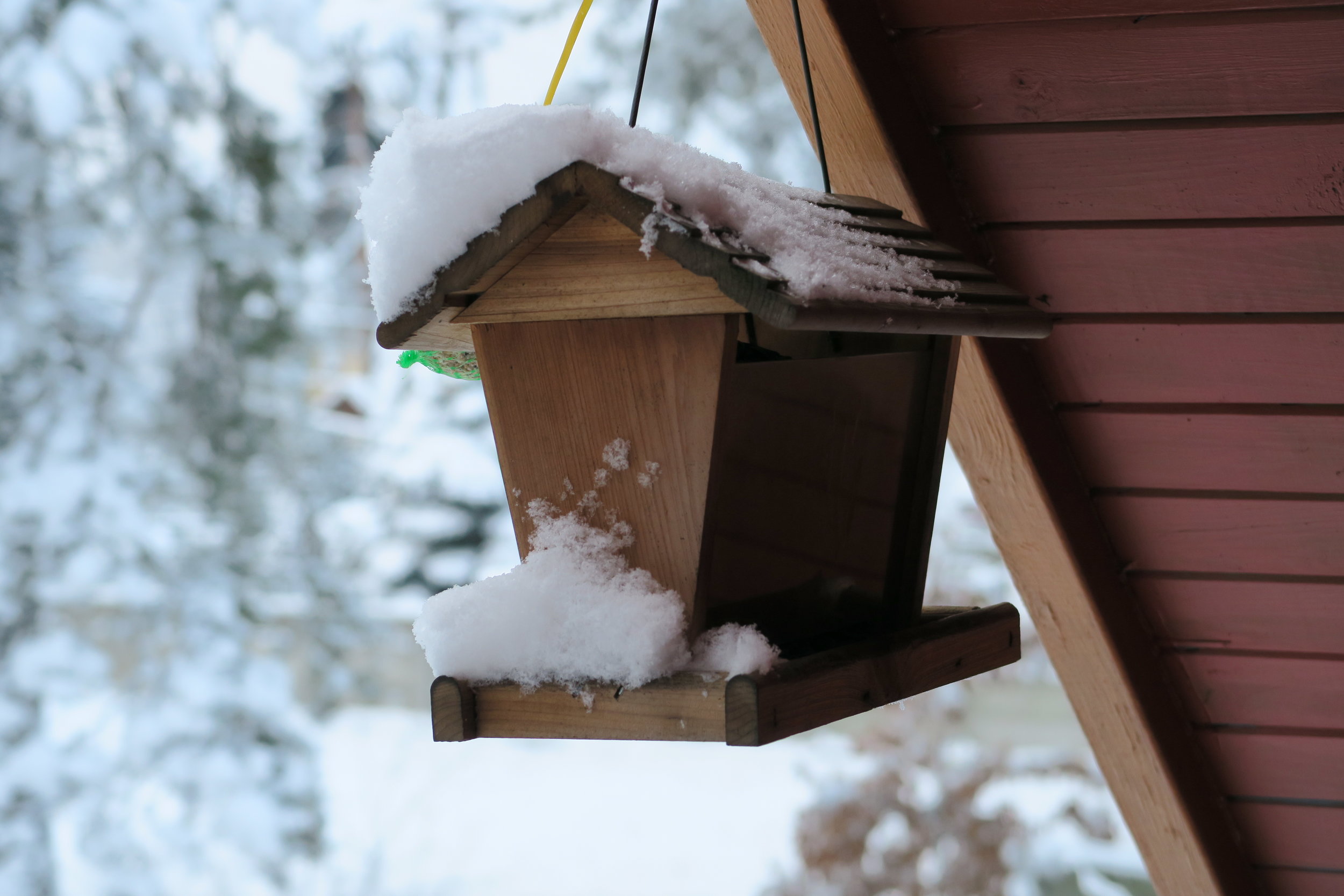 Cultural:  Winter in Poland