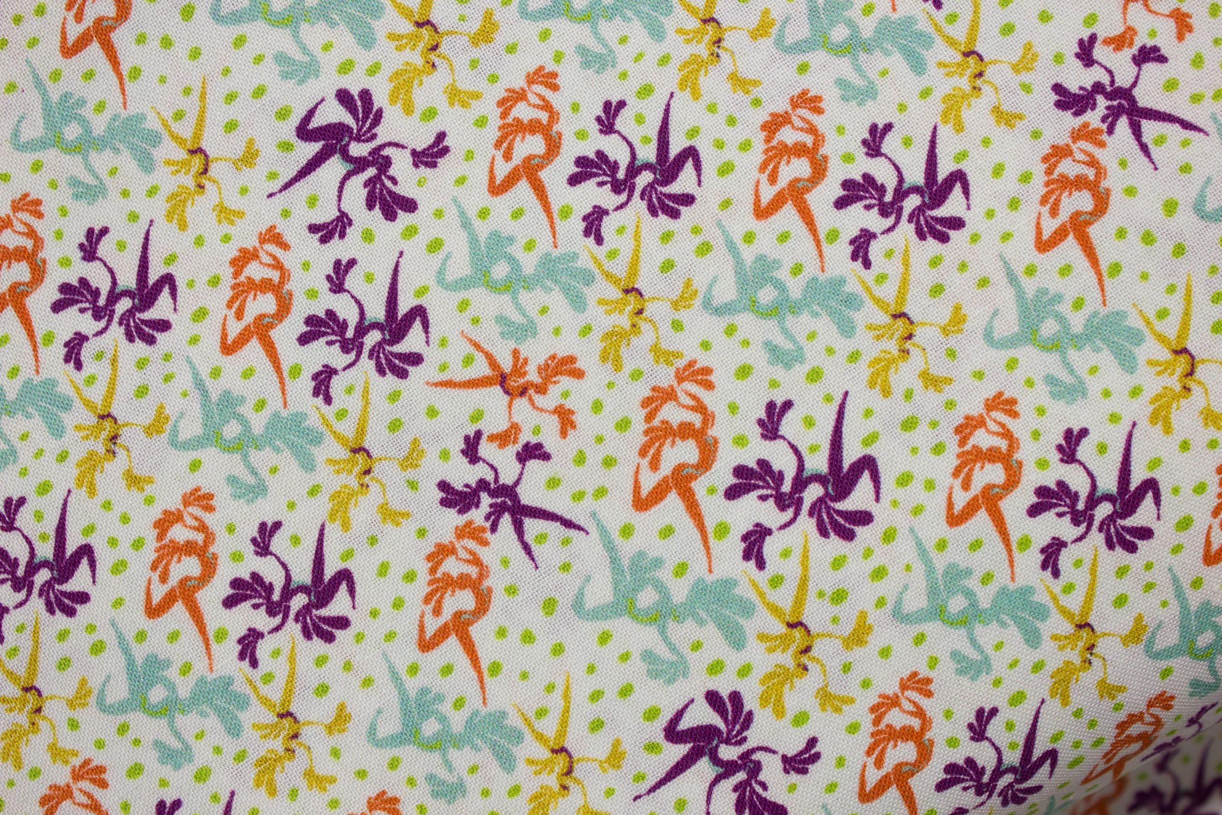 Brazil Dancers on White by Mary Fons