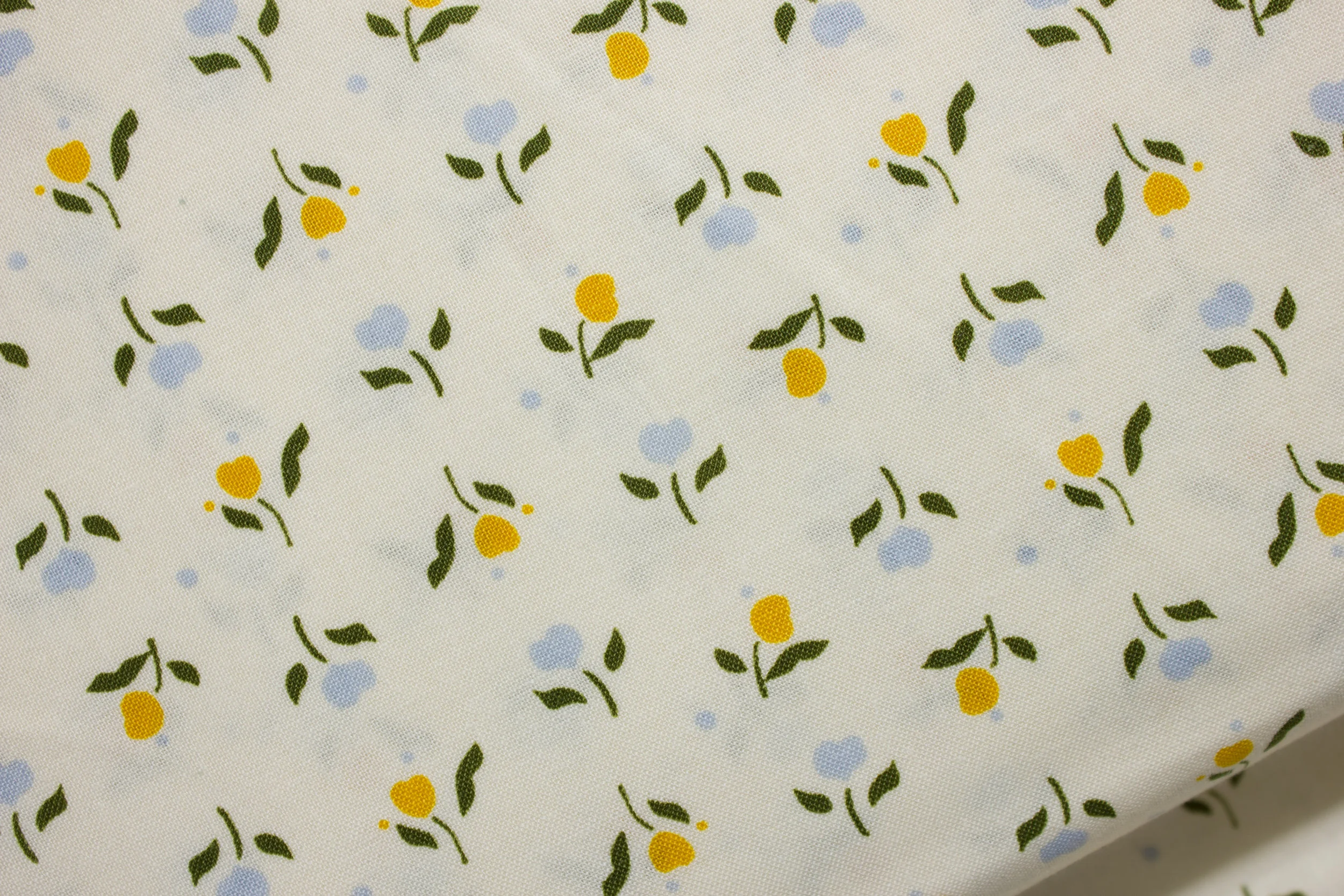 Netherlands Flowers on Cream by Mary Fons